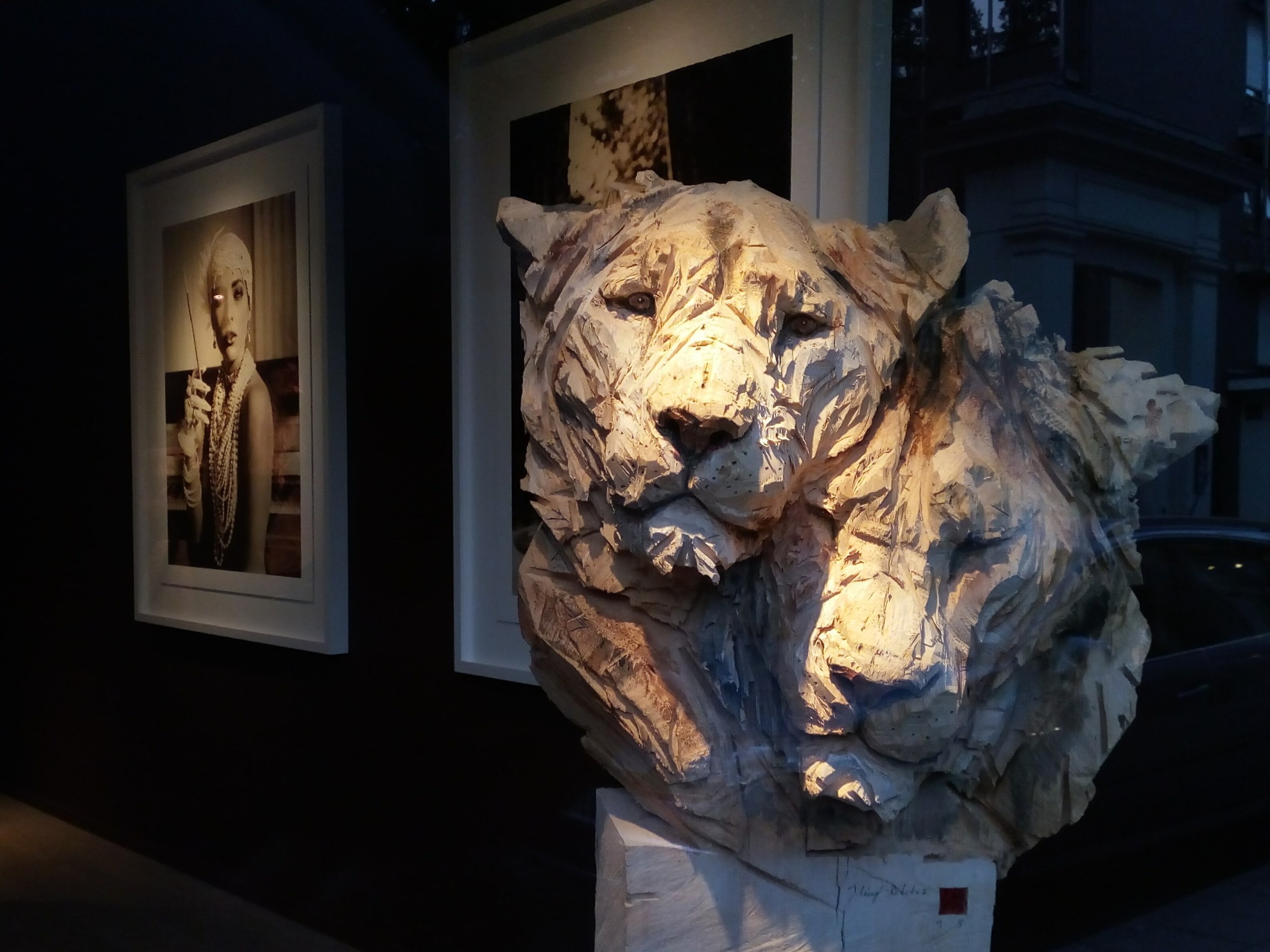 Lions in Antwerp