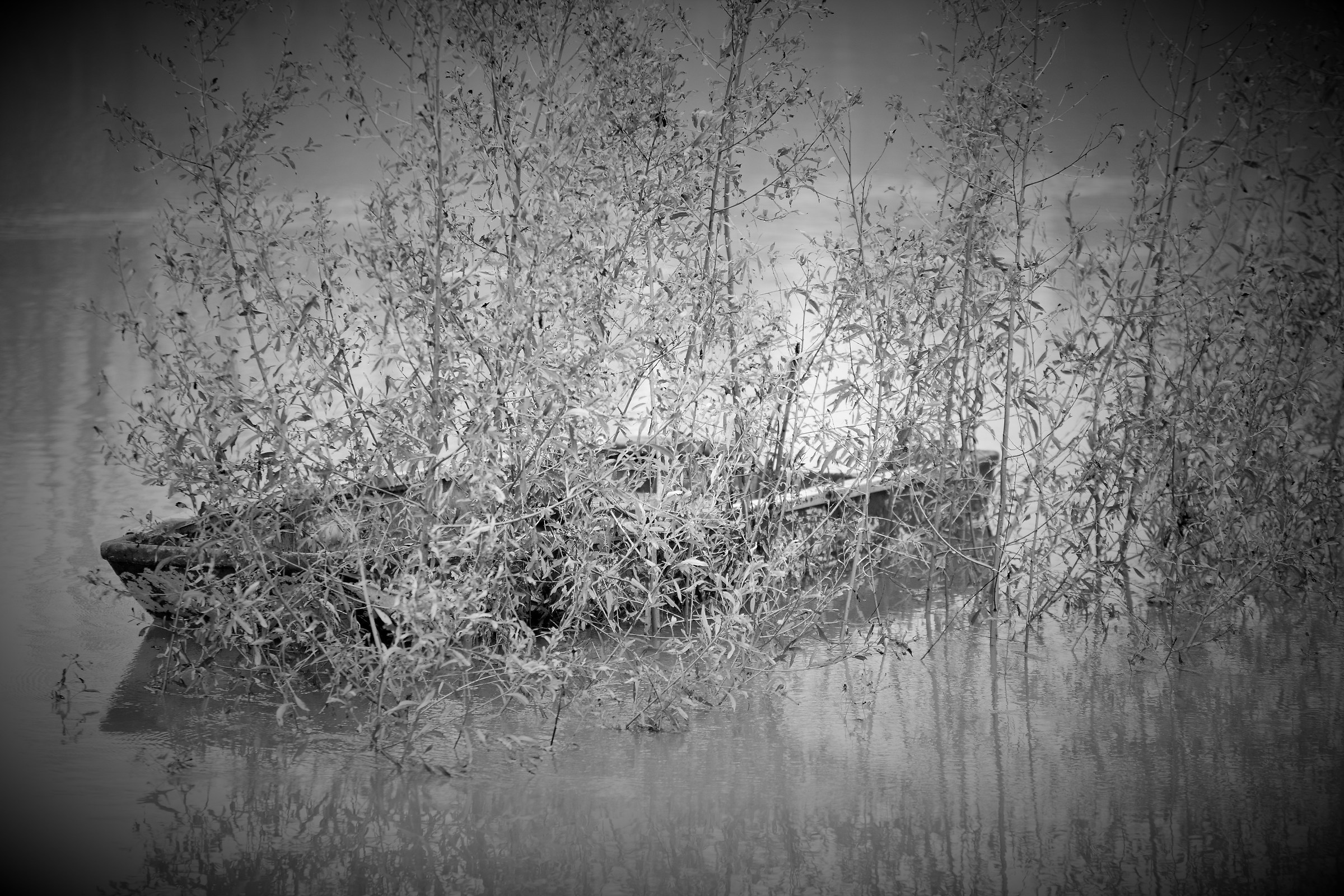 Il grande fiume Po in piena e il vecchio pescatore