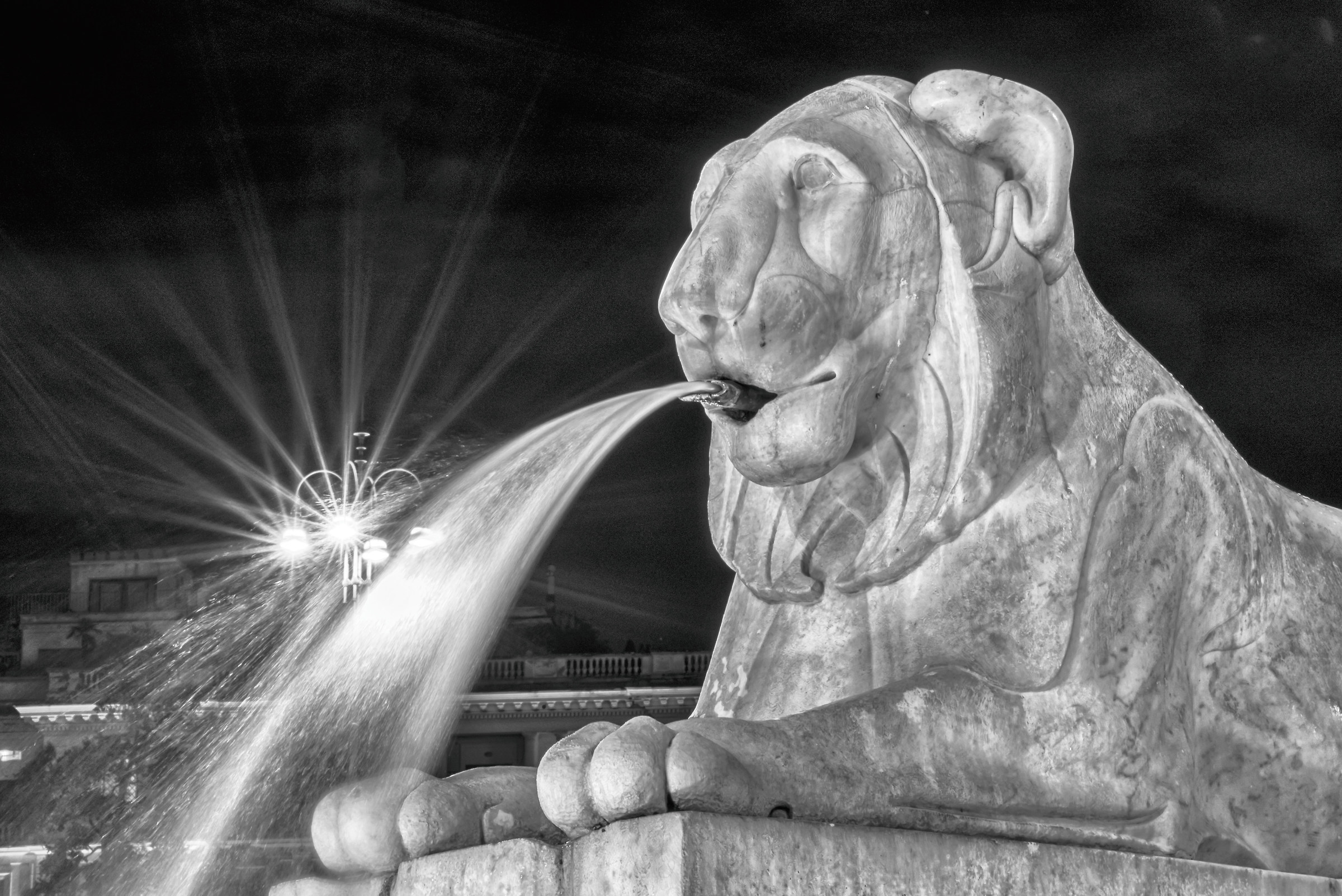 Piazza del popolo (particolari)