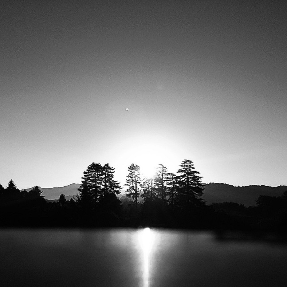 Mi scappa da fotografare ennesimo: Vediamo cosa vedete