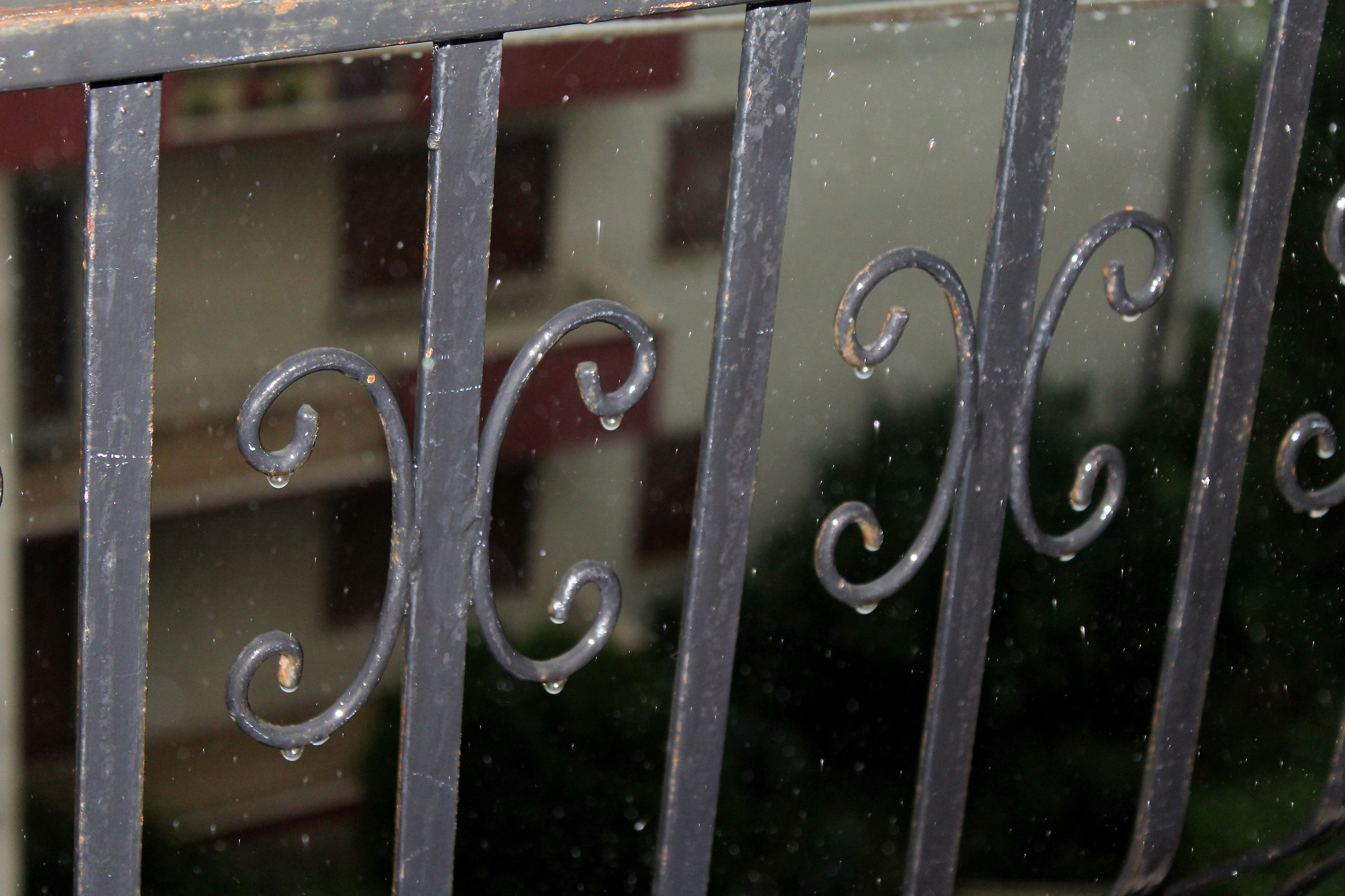 Little Tears of Life