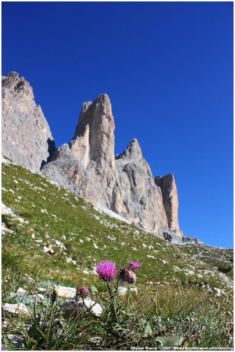 Dolomiti