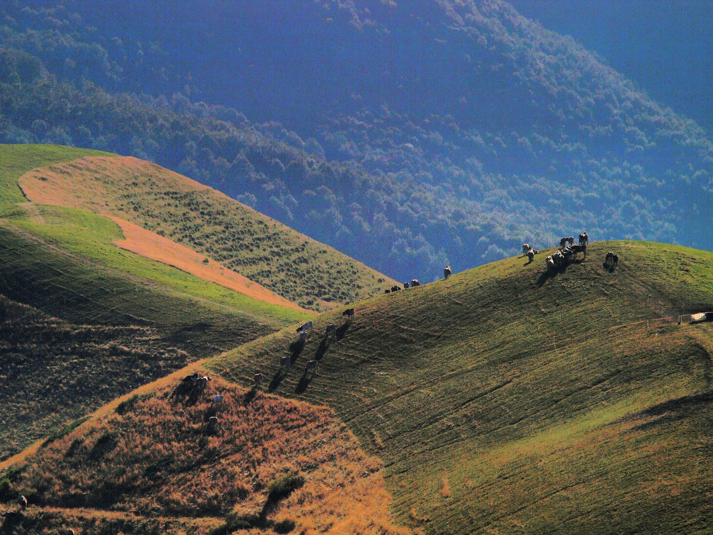 Val Imagna. Controluce.
