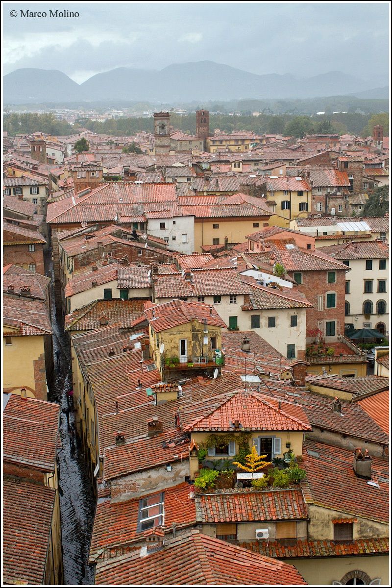 Lucca, Panorama dalla Torre Guinigi