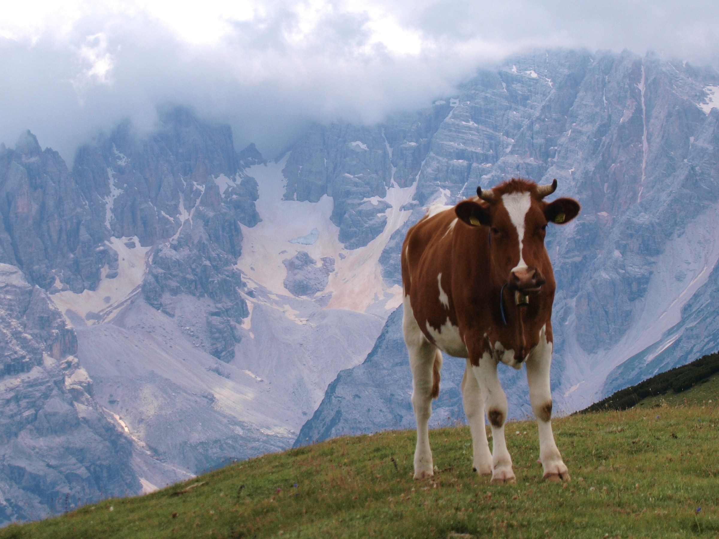 in posa sul Monte Cristallo