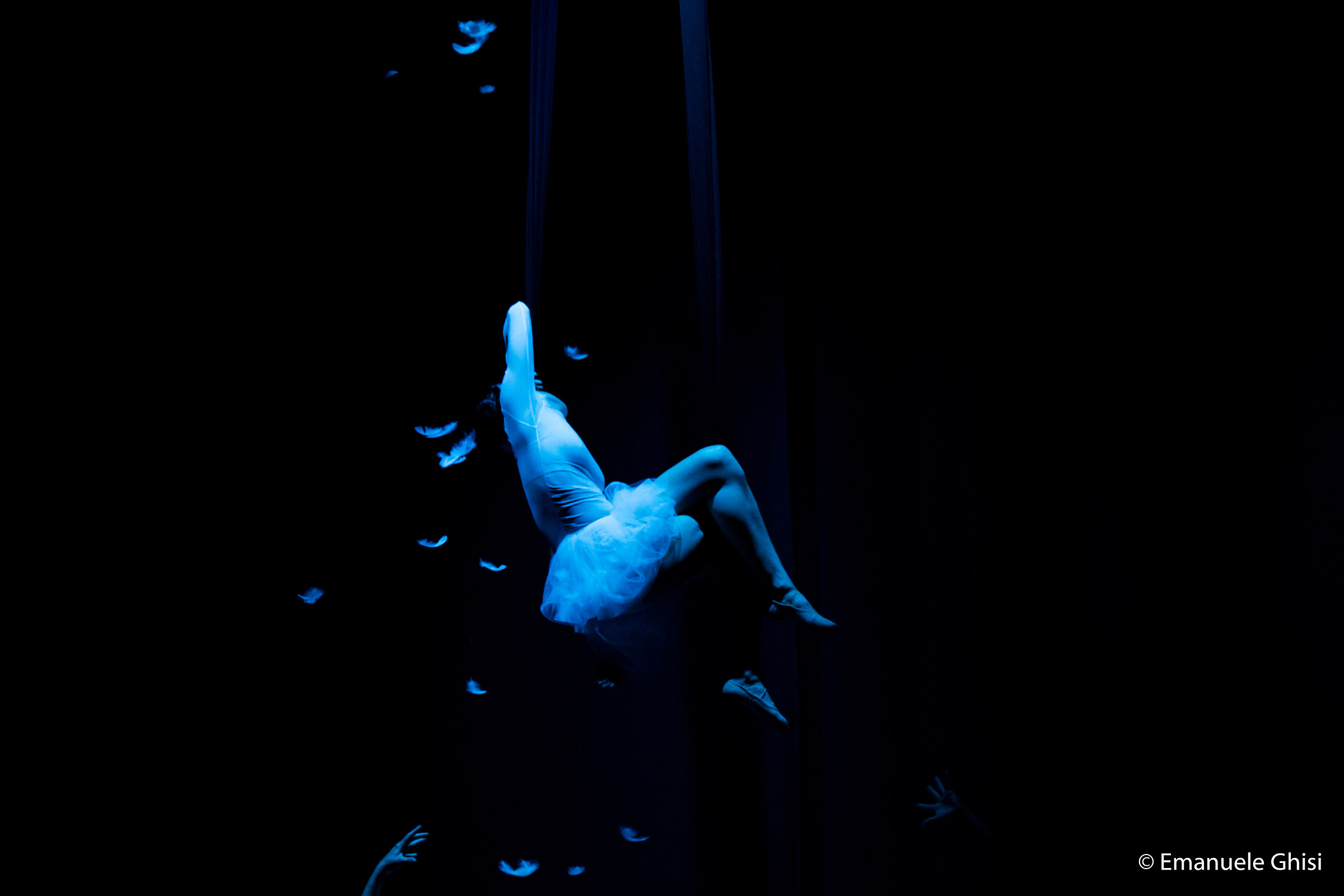 Death of the Swan #2