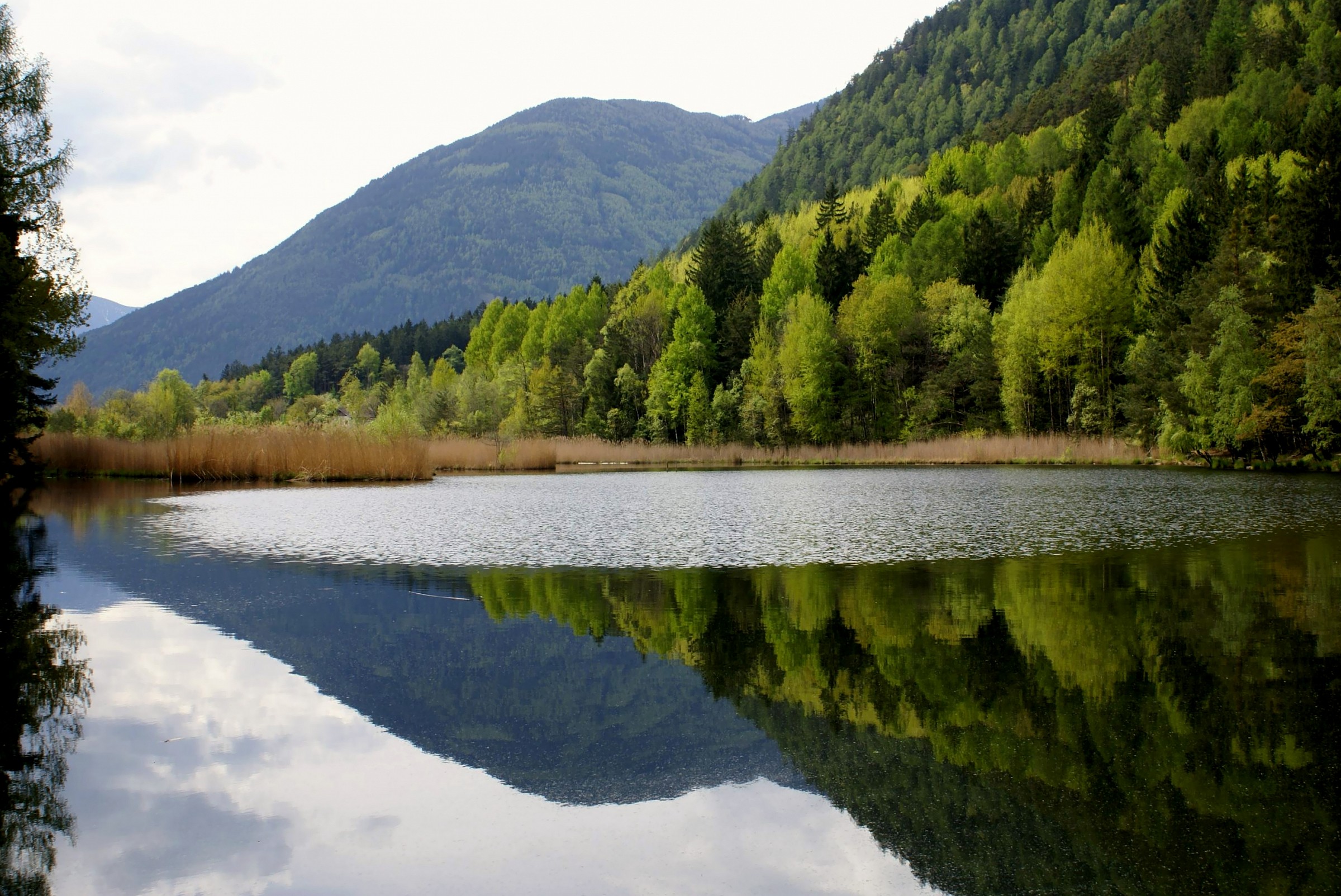 The lake of Varna (Bressanone - BZ): reflections