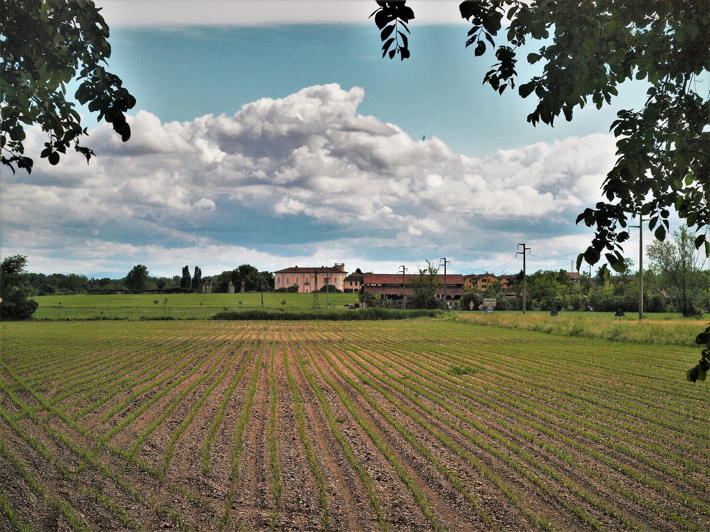 Lombardy Countryside