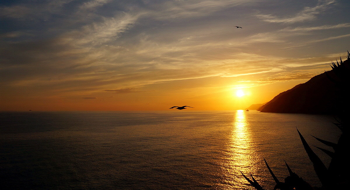 Un'occhiata verso Punta Mesco (Portovenere)