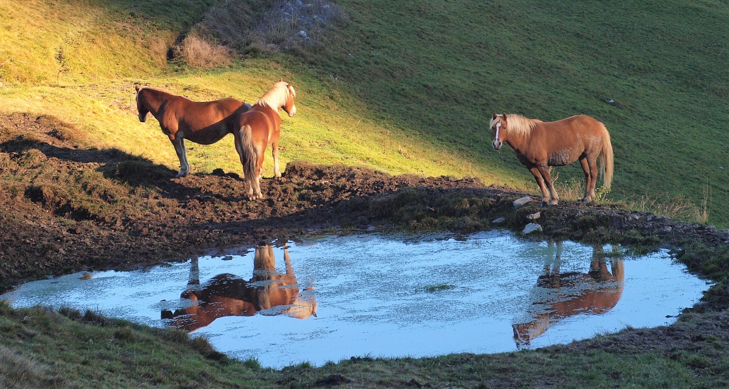 State of Brado, Val Imagna (Bg)