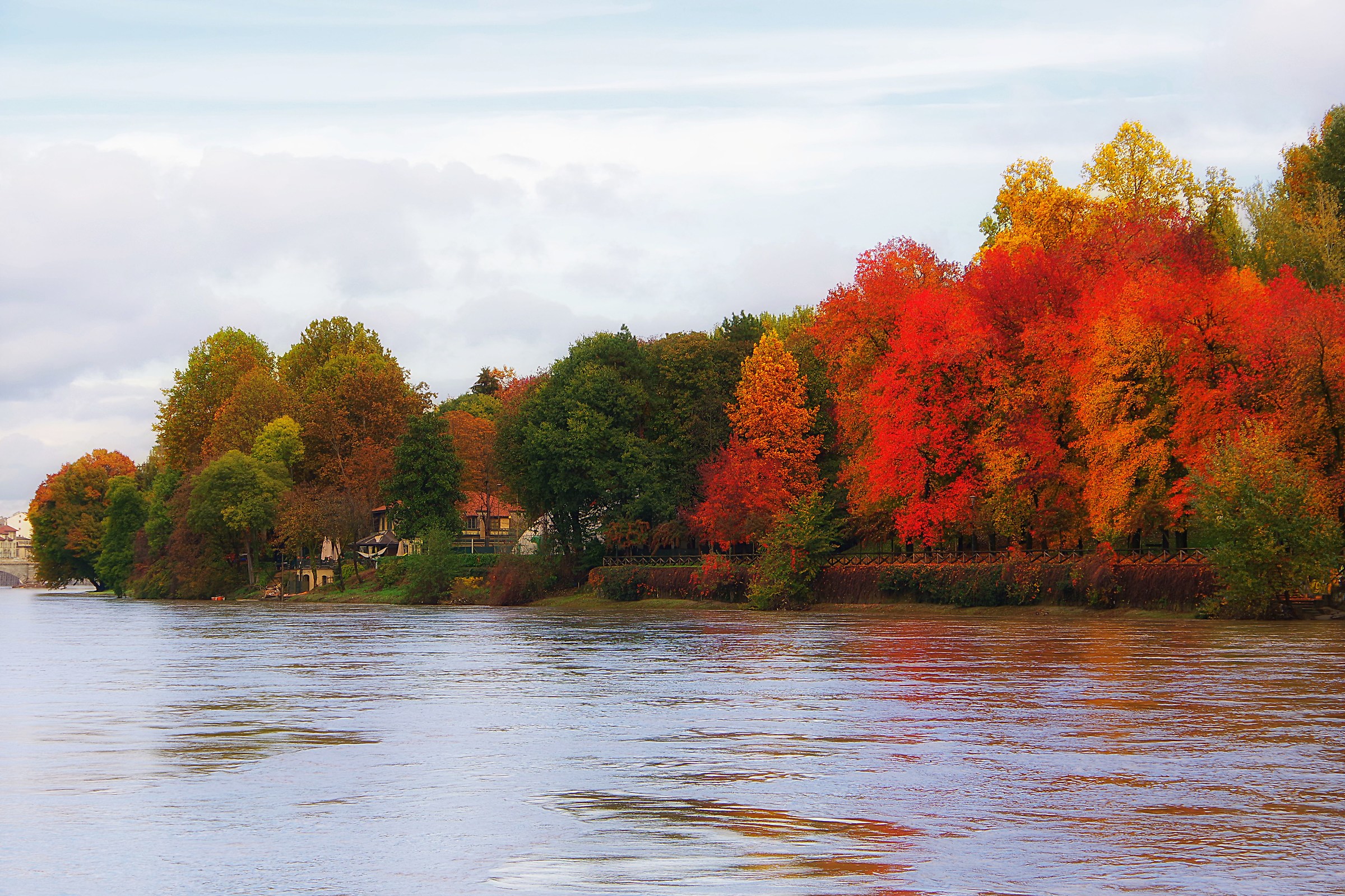 Foliage on the shores of the Po
