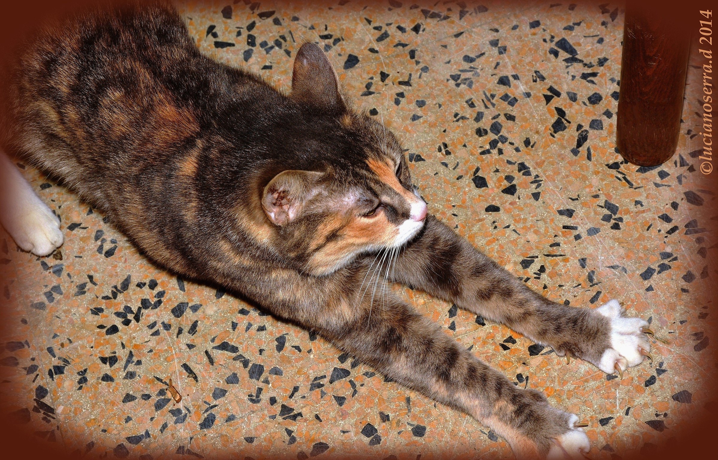 Adesso mi stiro un po'...