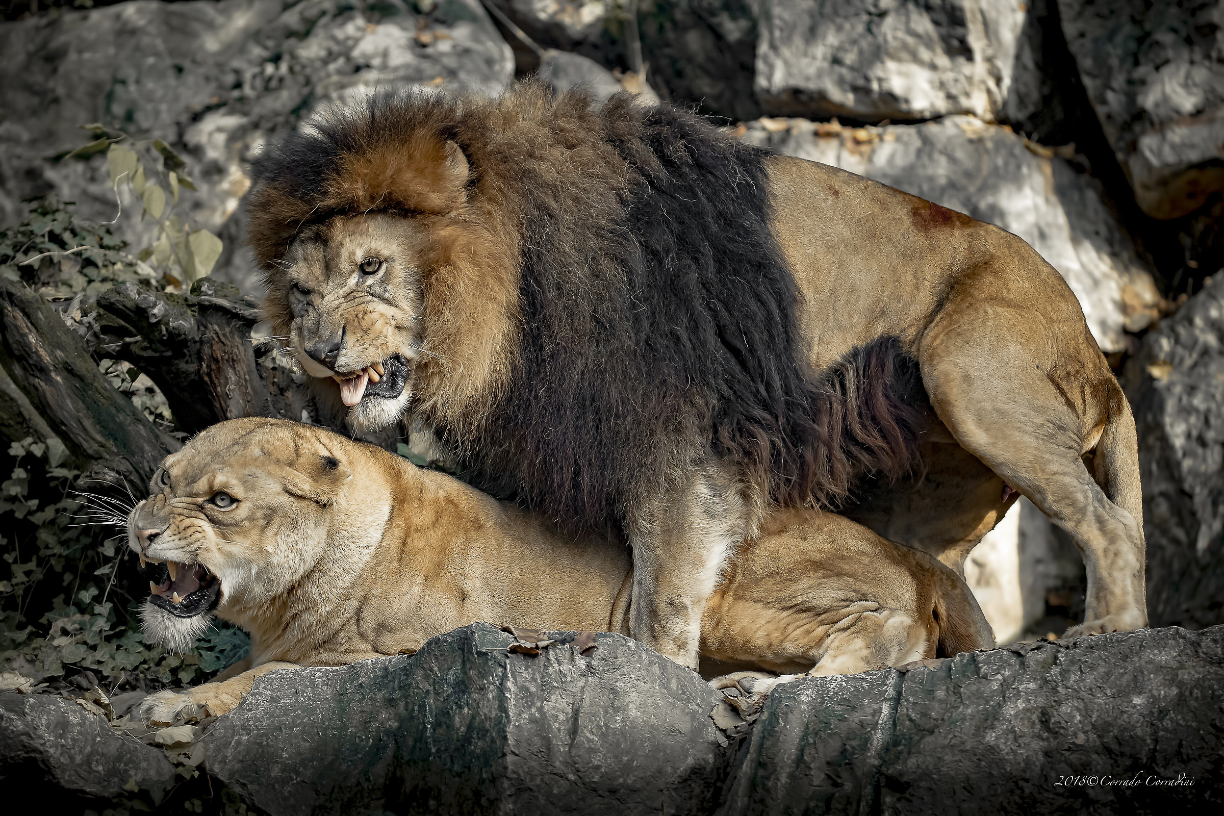 Between wife and husband... don't put your finger