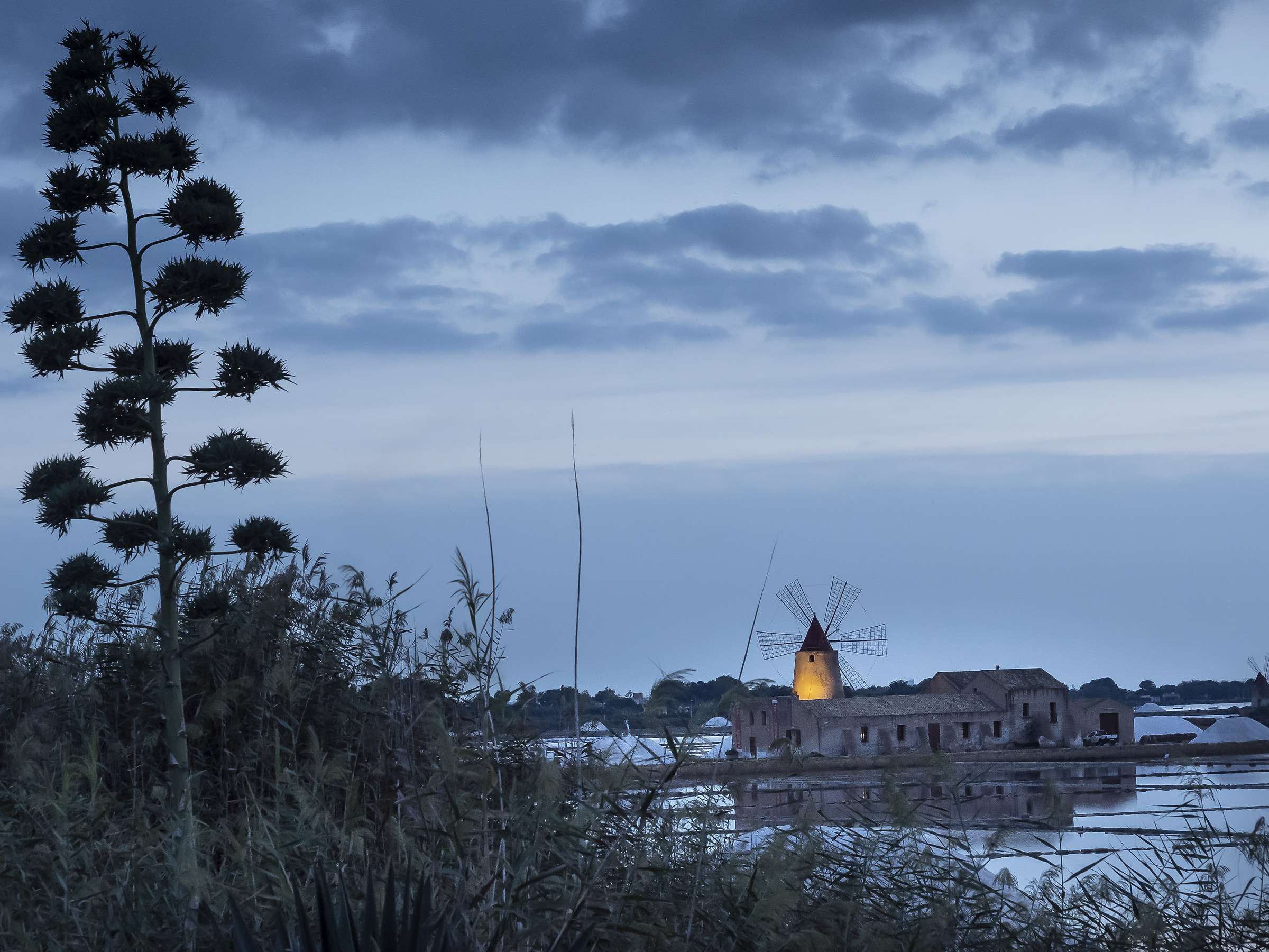Saline Trapani Mozzia