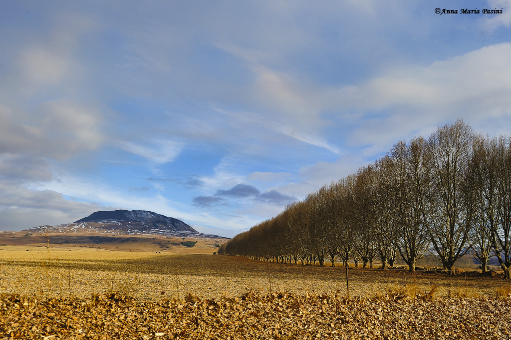South African colors