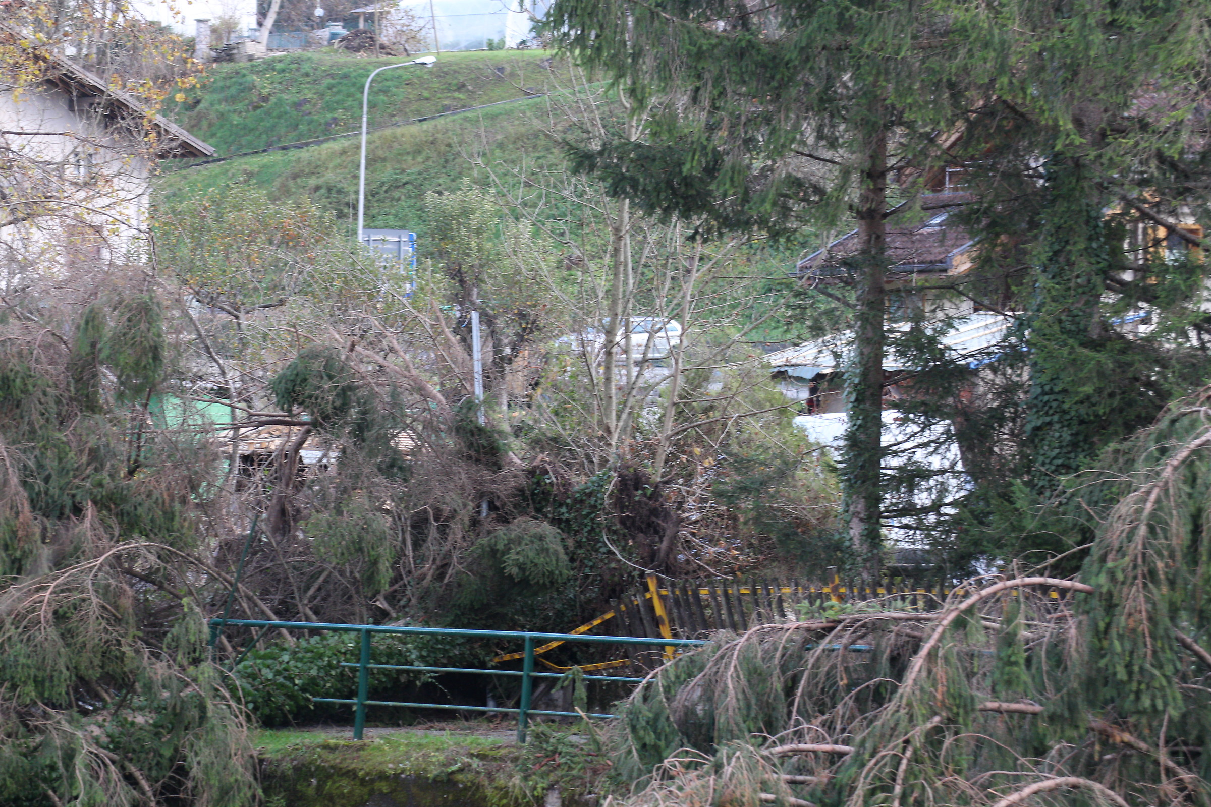 Alberi caduti ad Agordo