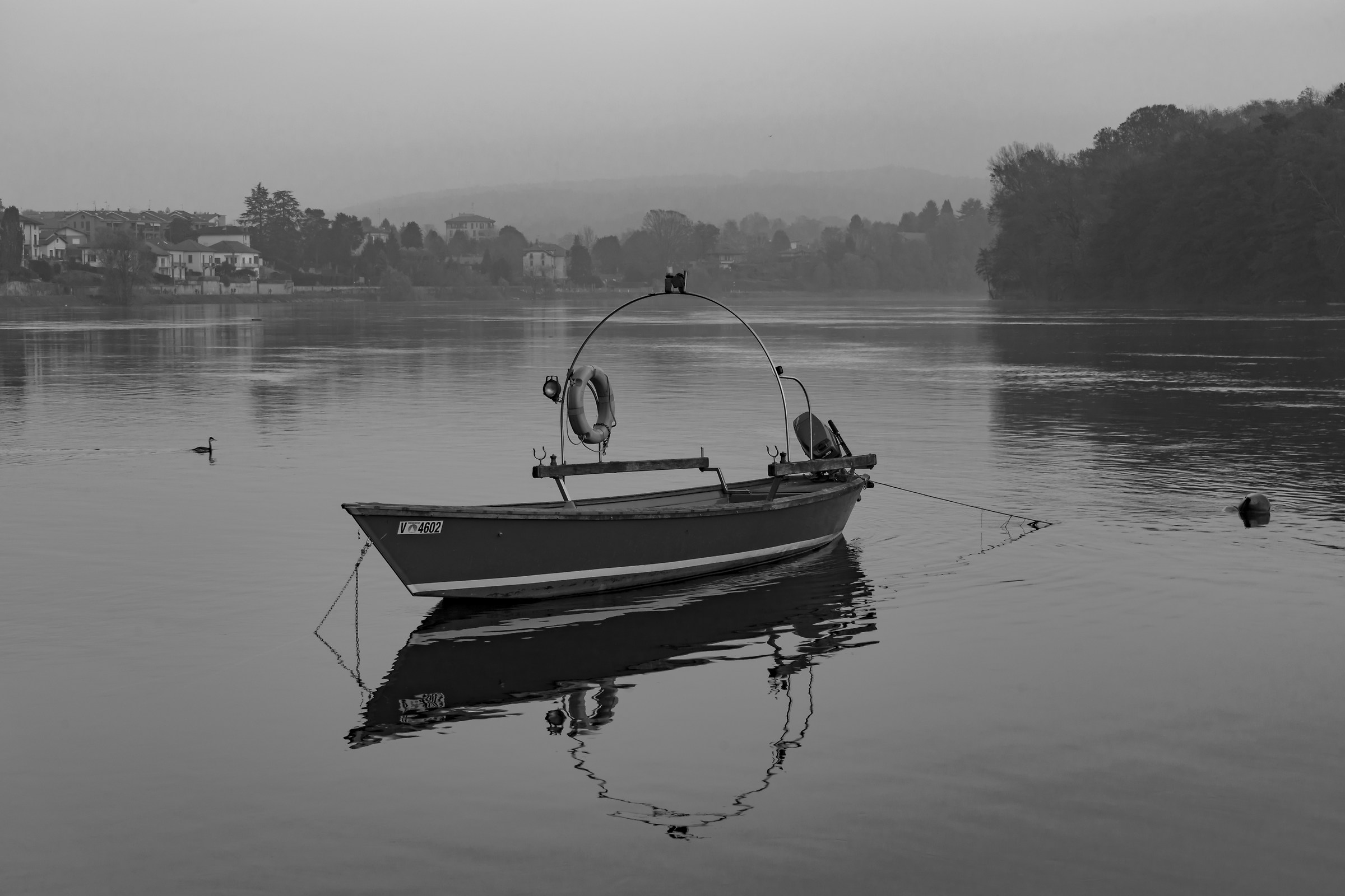 Mercoledì 14 novembre 2018, 16:47 - Monocromatica