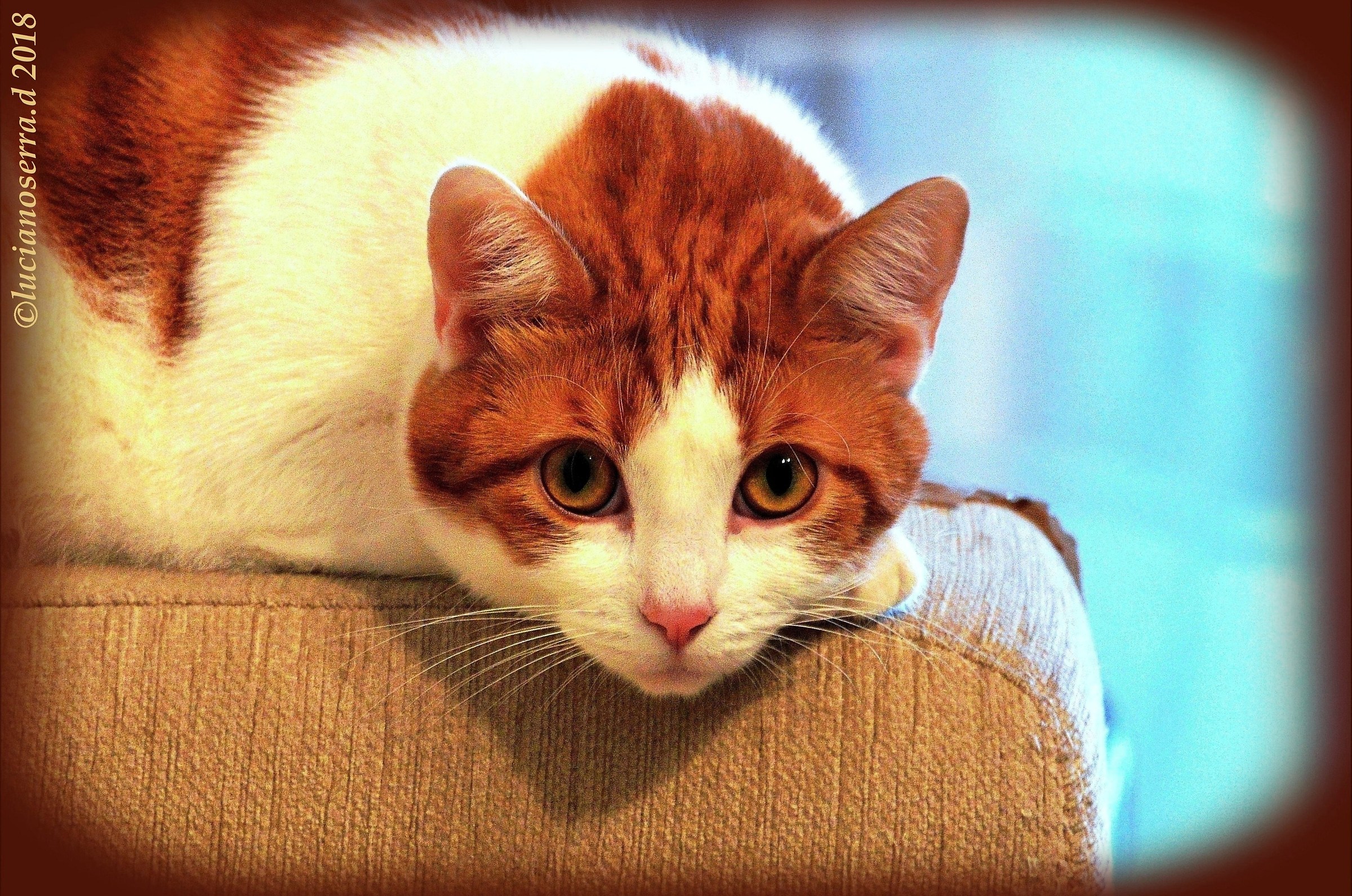 I'm good at photography?...