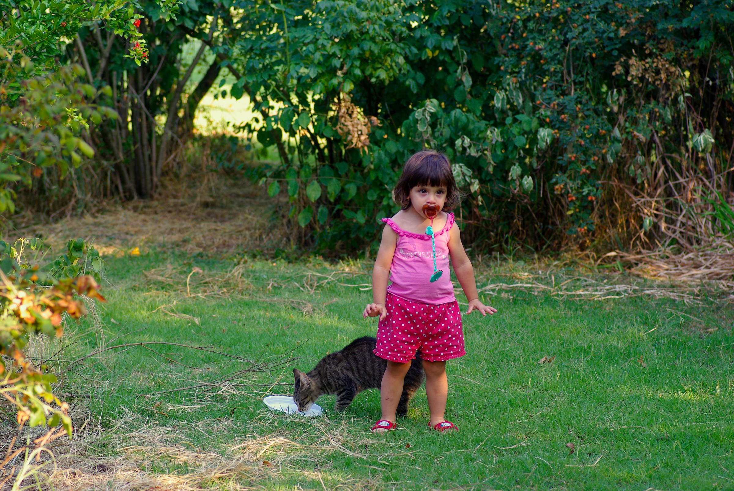 Stay away from my cat!!!