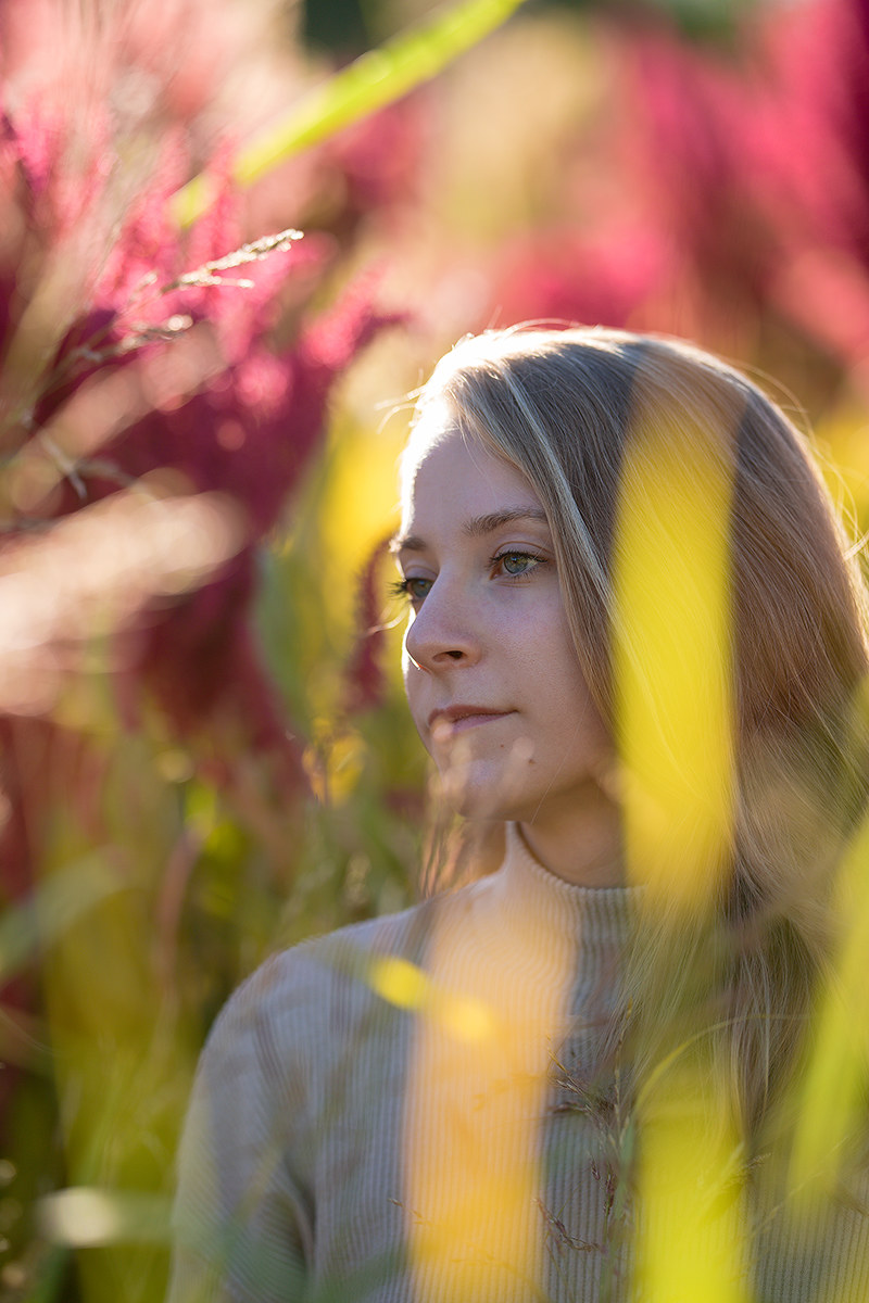 Giorgia e il miglio rosso