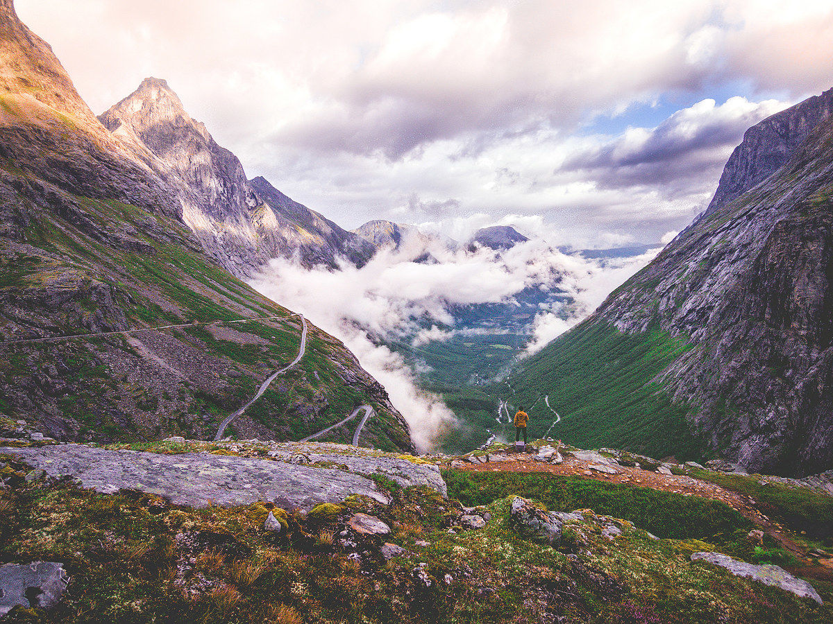 At the top of the Troll ladder