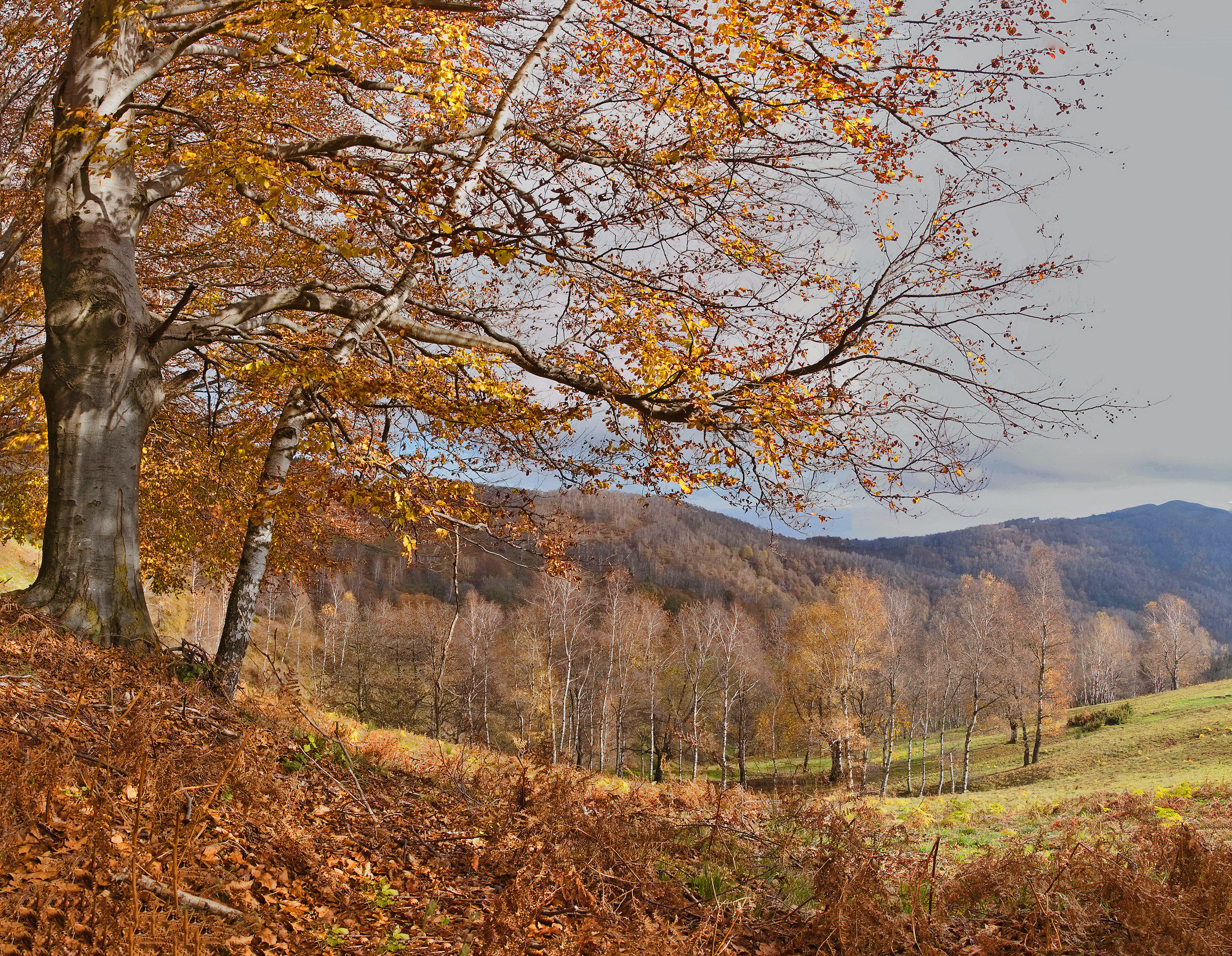 Autumn in the mountains