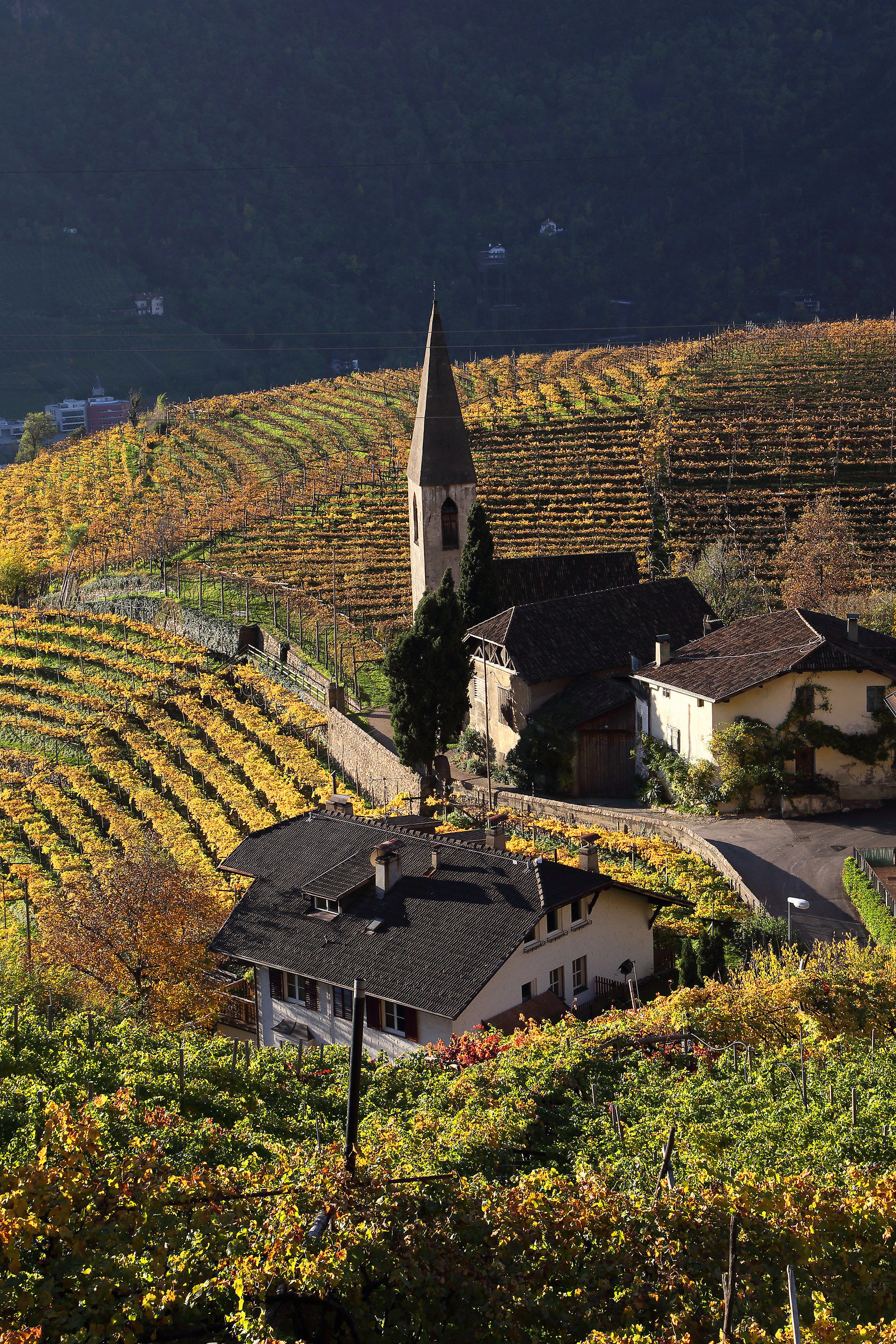 Collina di S. Maddalena Bolzano città