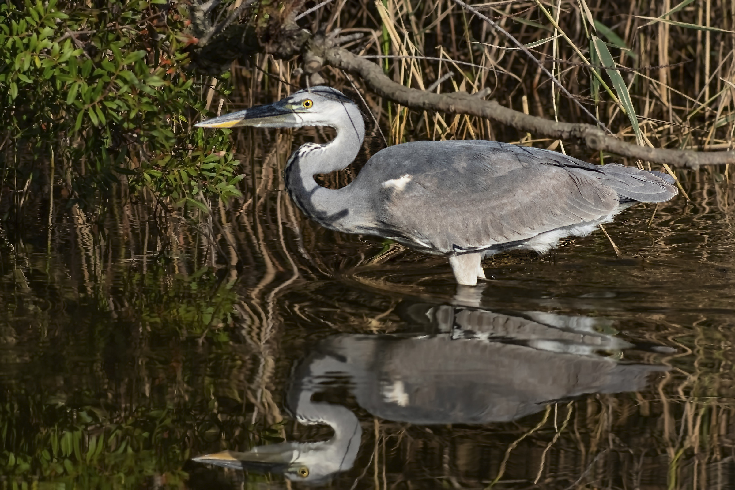 The underpass of the Cenerino
