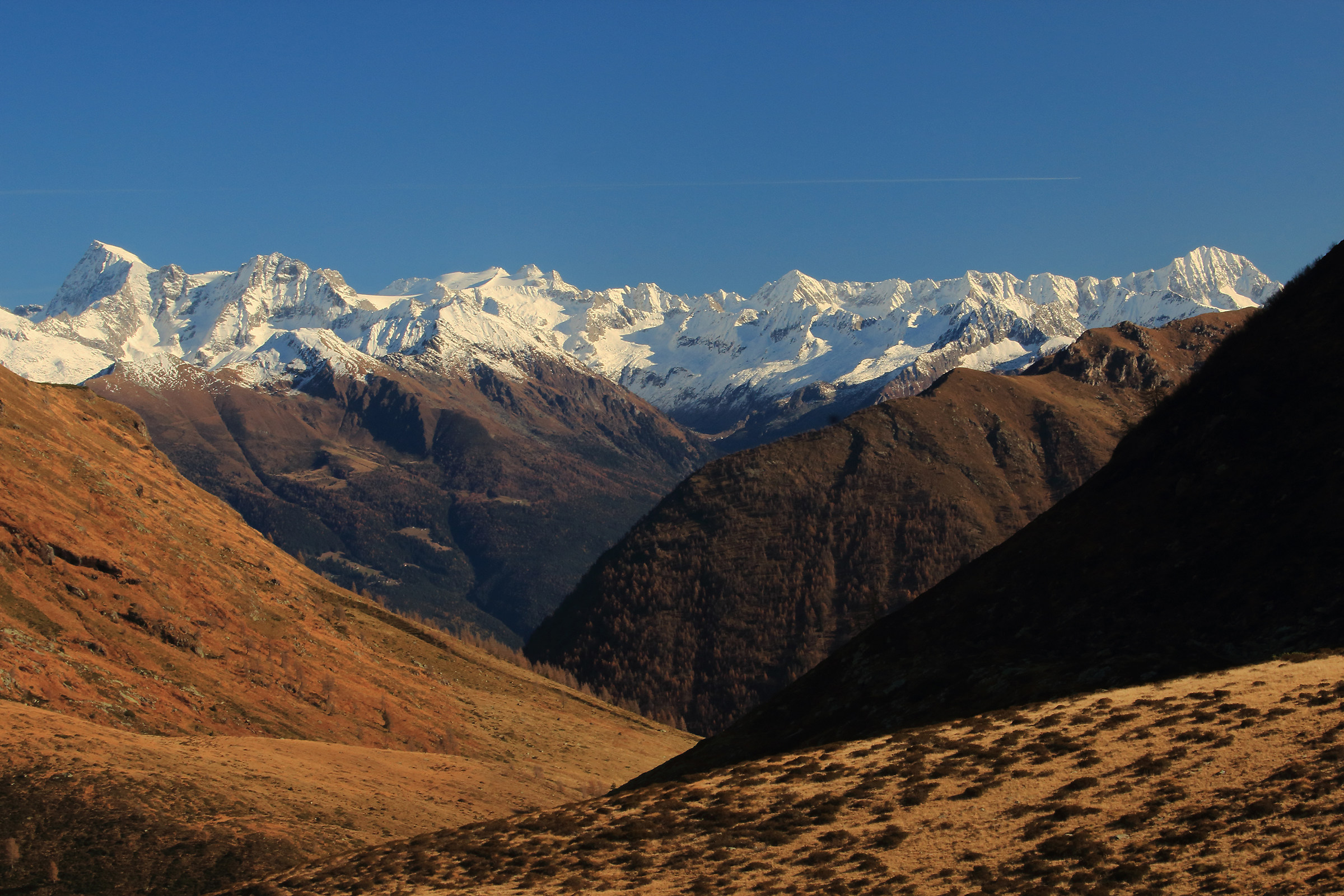 The ramparts of Adamello