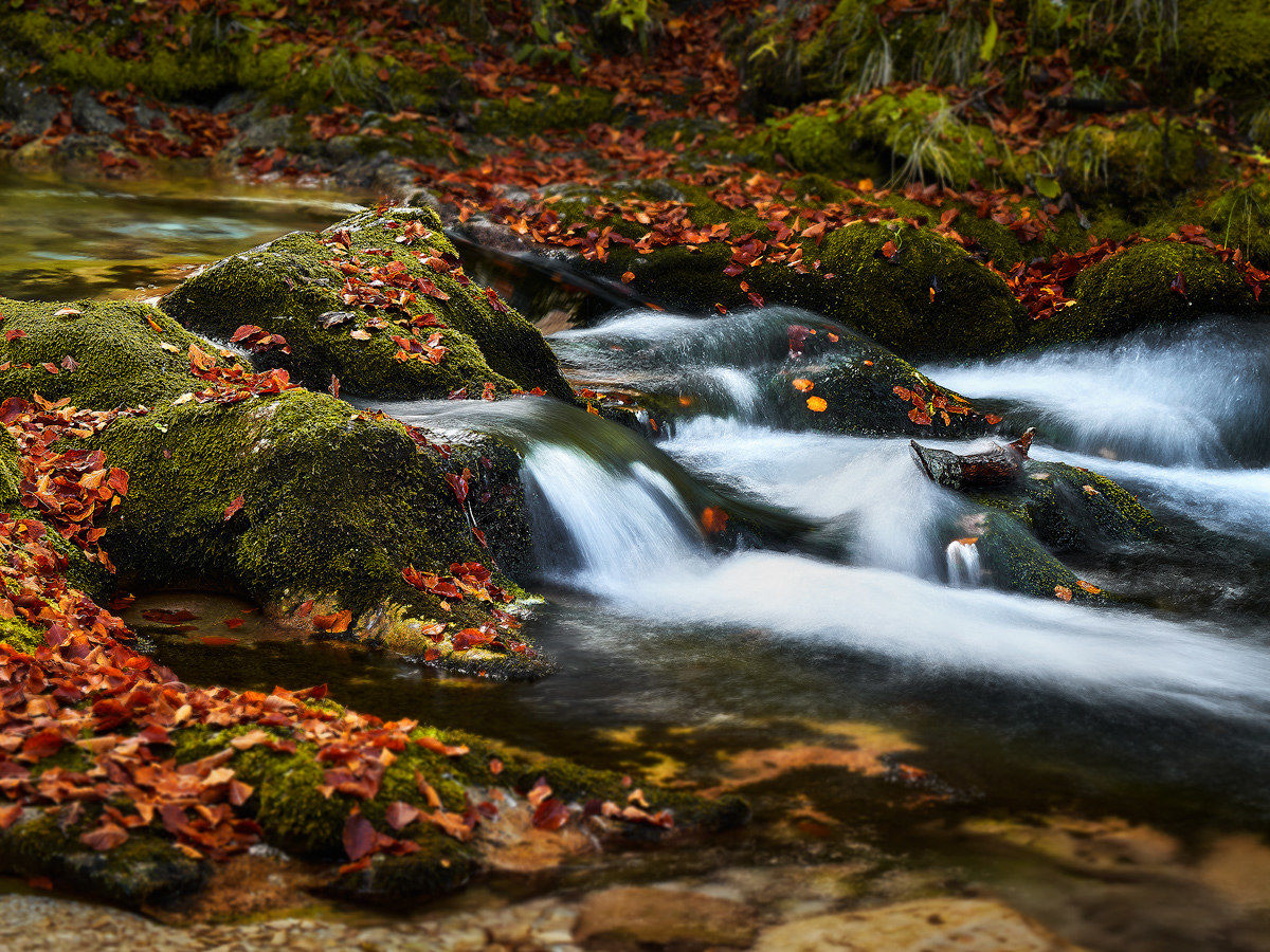 Tranquille turbolenze