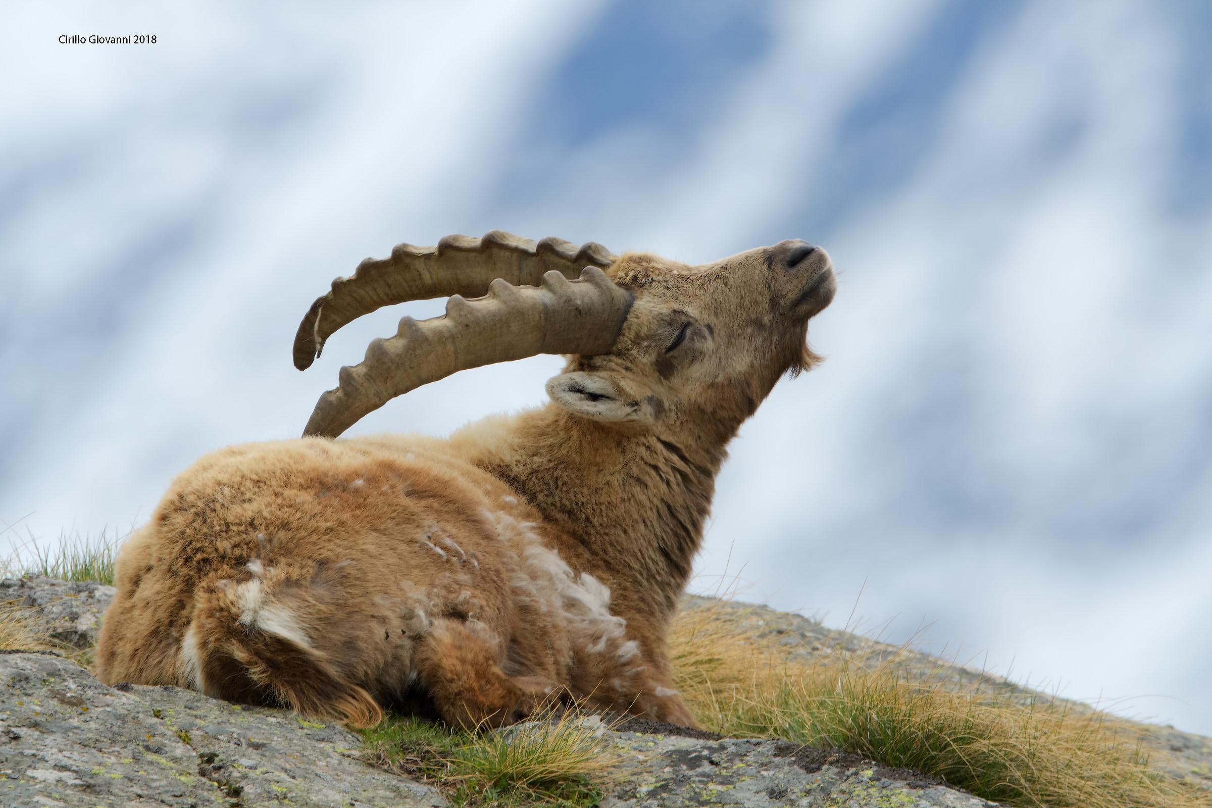 The rest of the Stanbecco