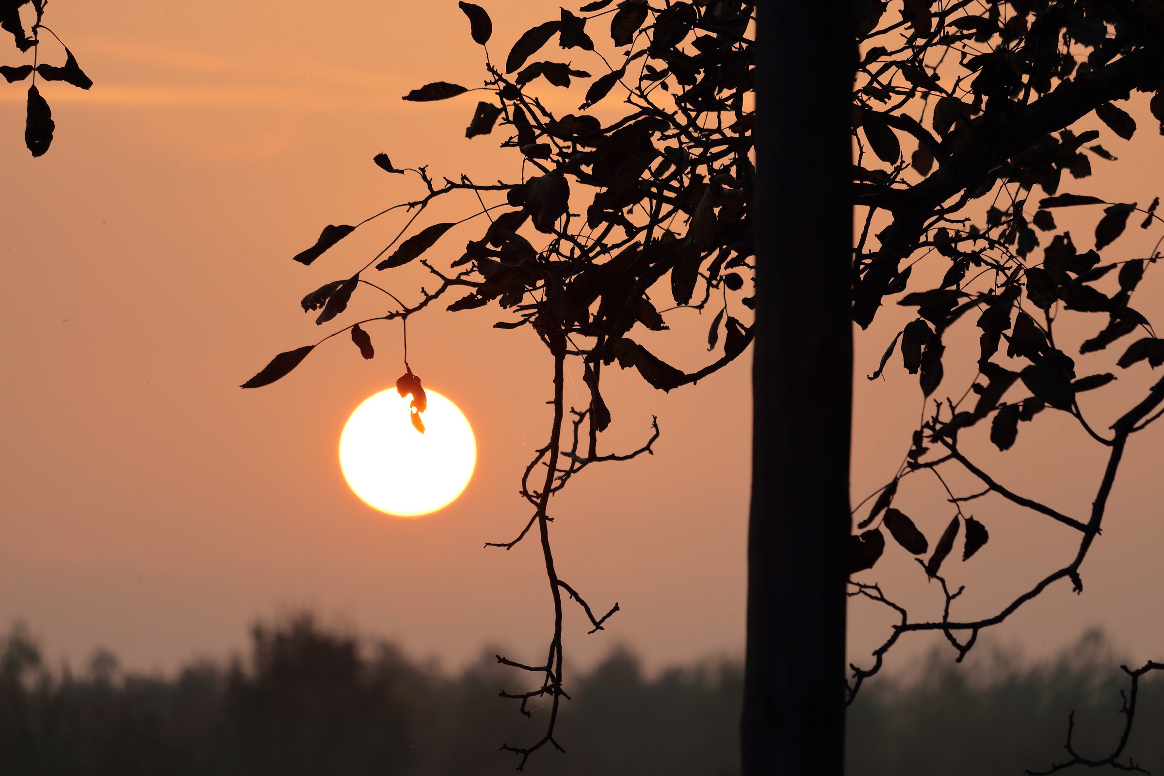 tramonto autunnale in campagna