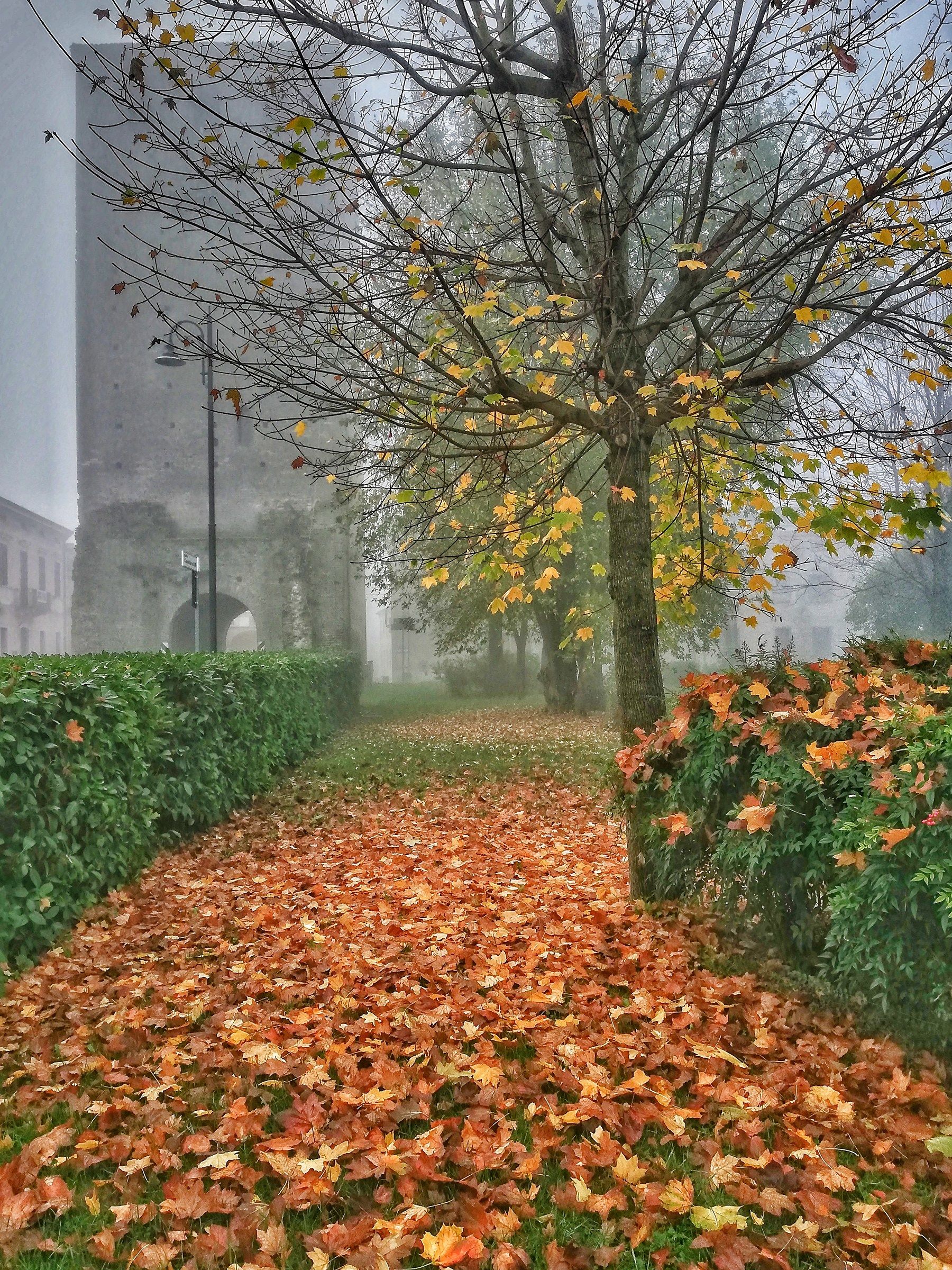 La torre nella nebbia