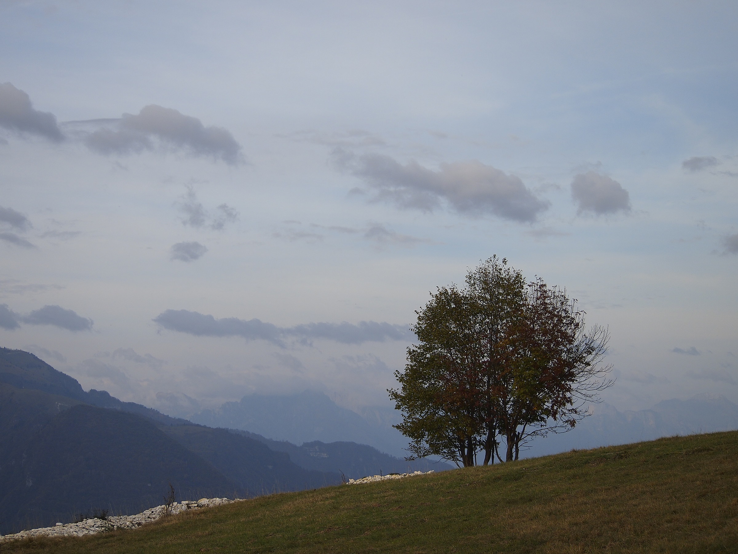 North of Mount Tomba