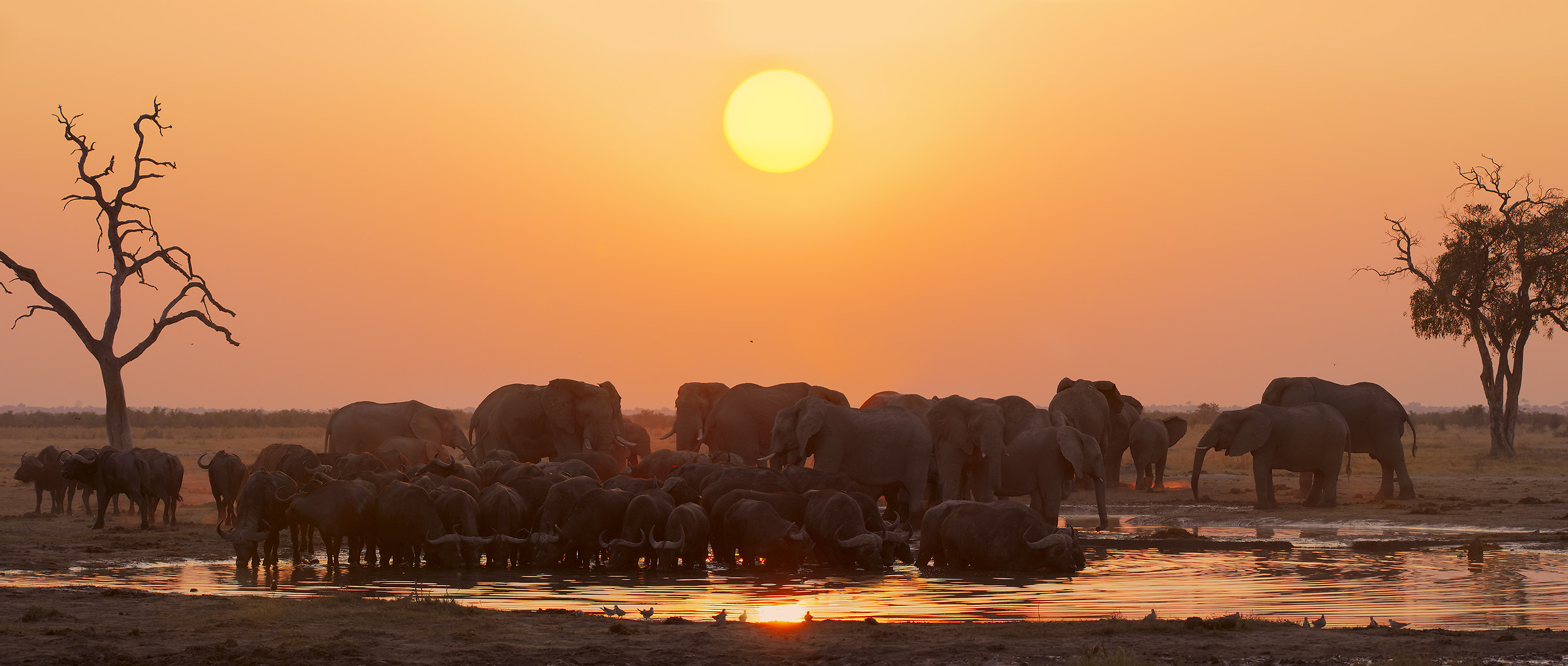 The Land of the Giants