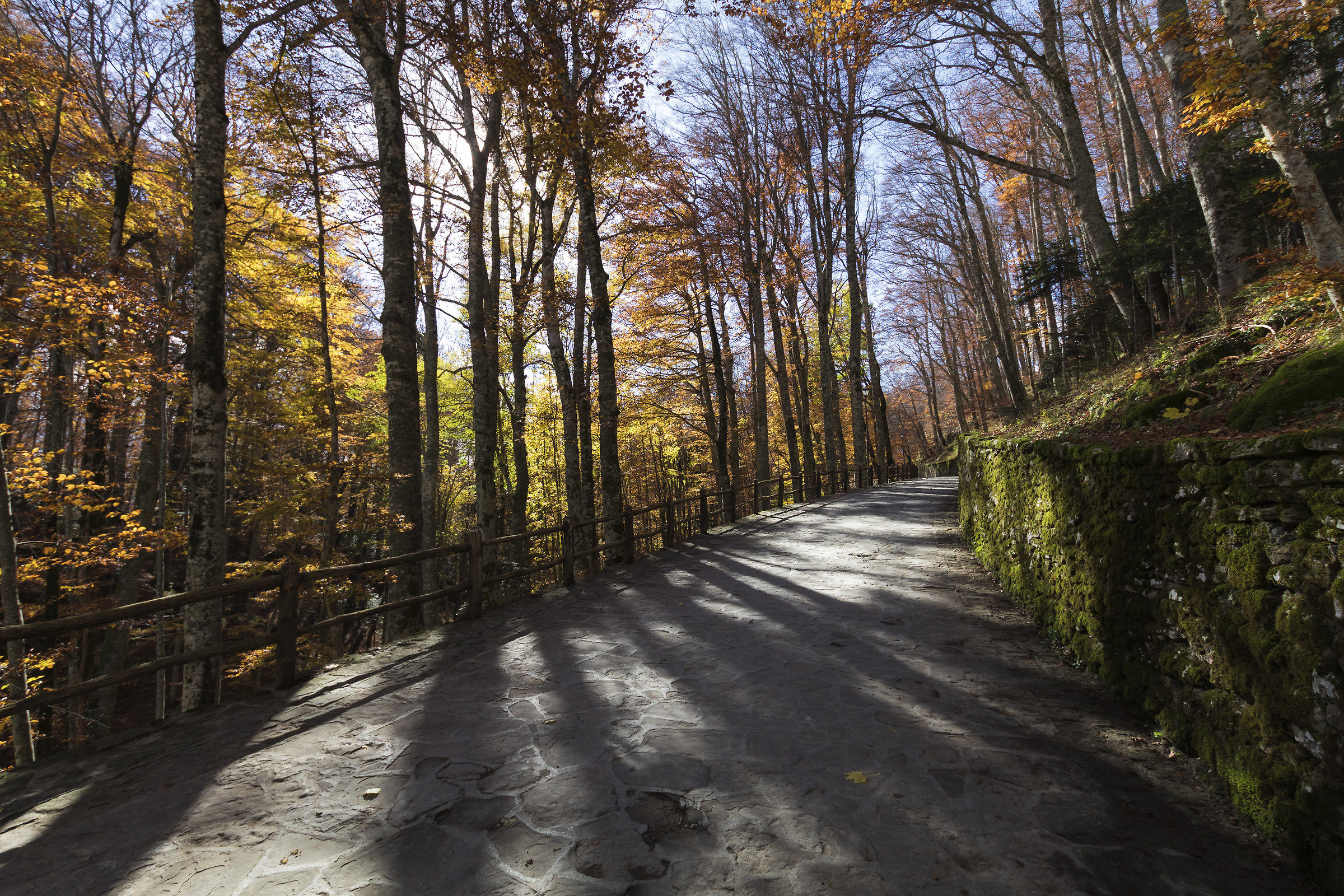 Autunno al Santuario della Verna