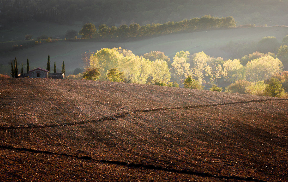 The little Cemetery of Treggiaia...