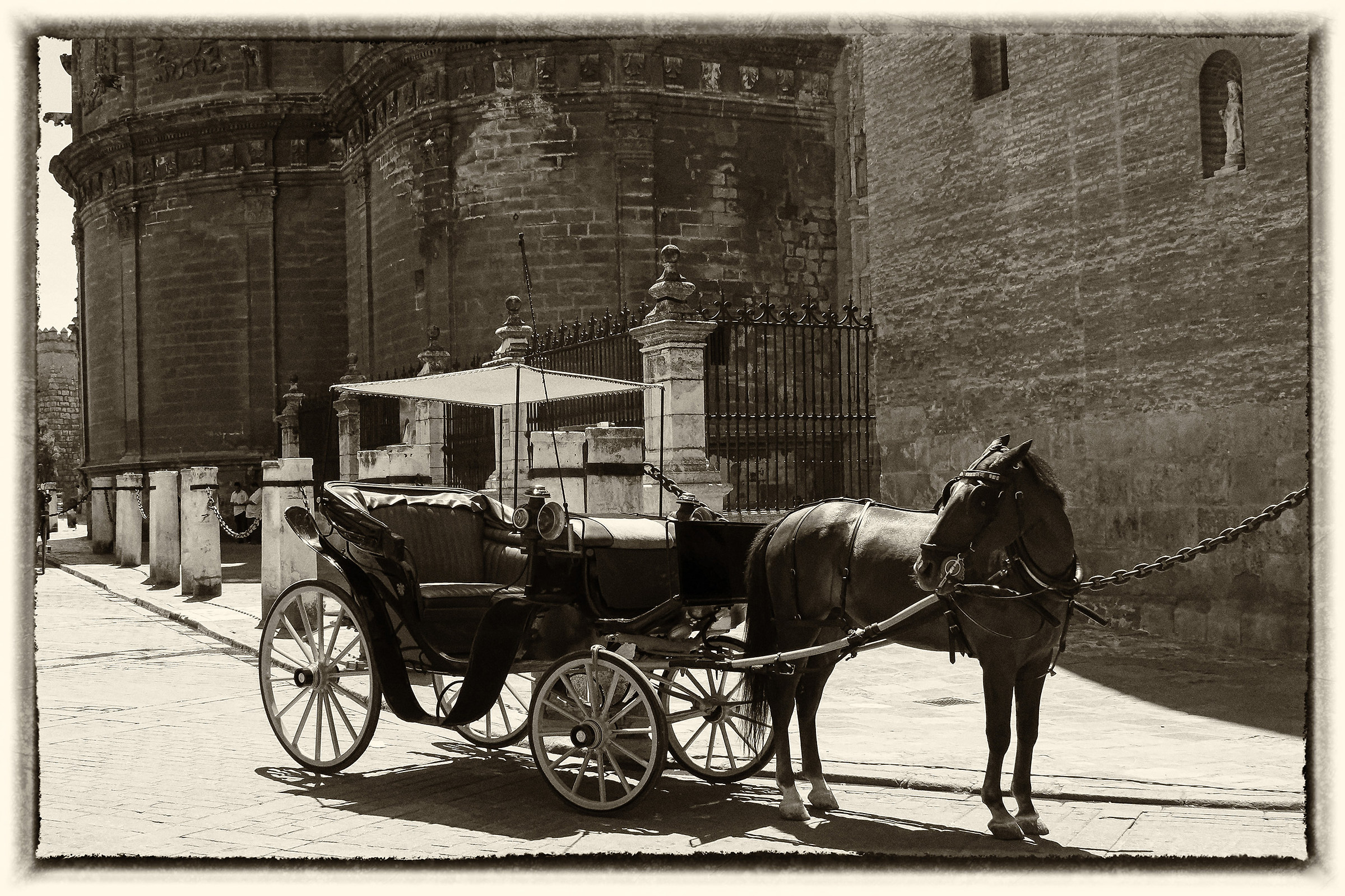 Sotto la Torre della Giralda - Siviglia