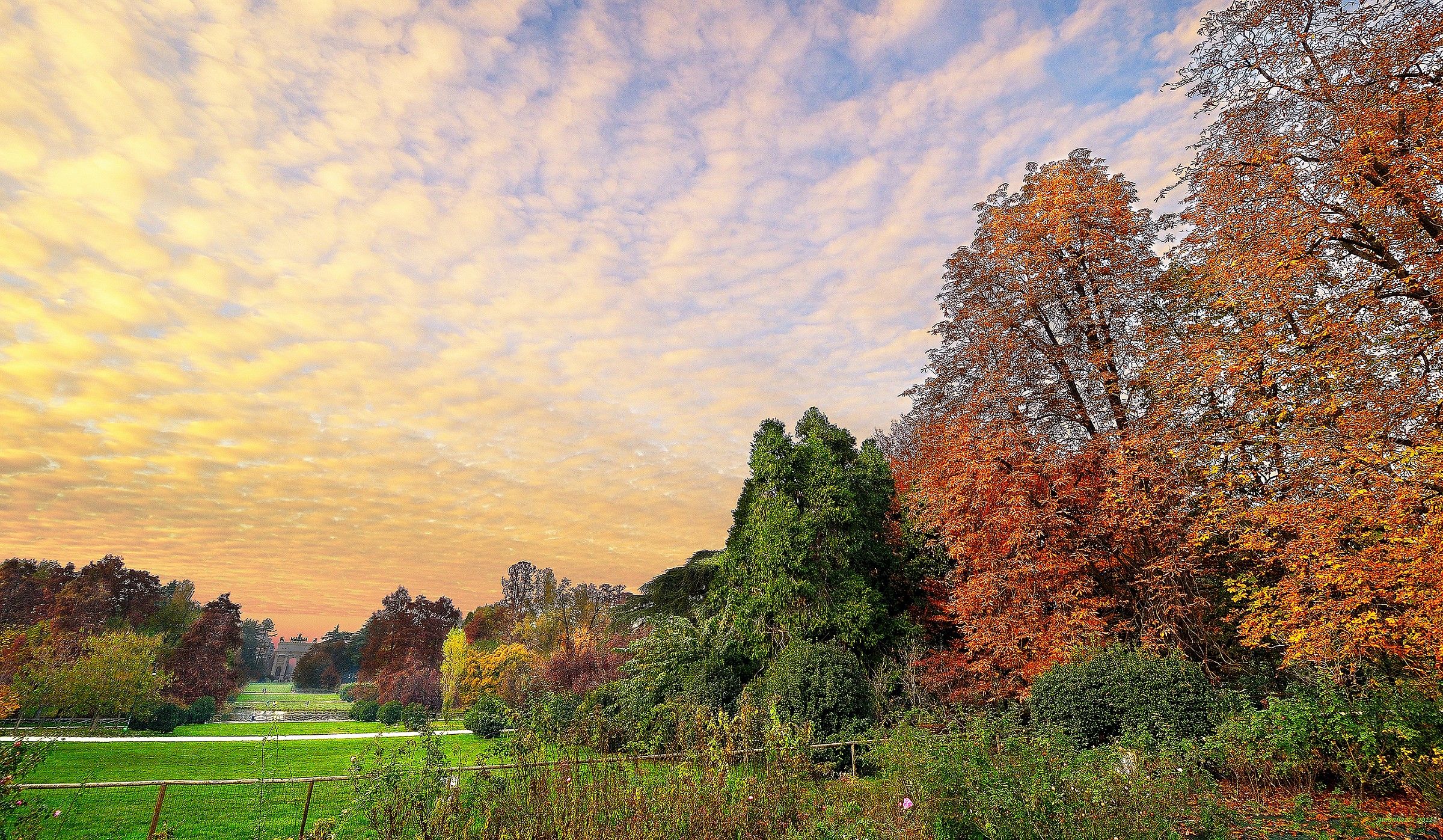 in the park, in the evening (the sky above Milan)