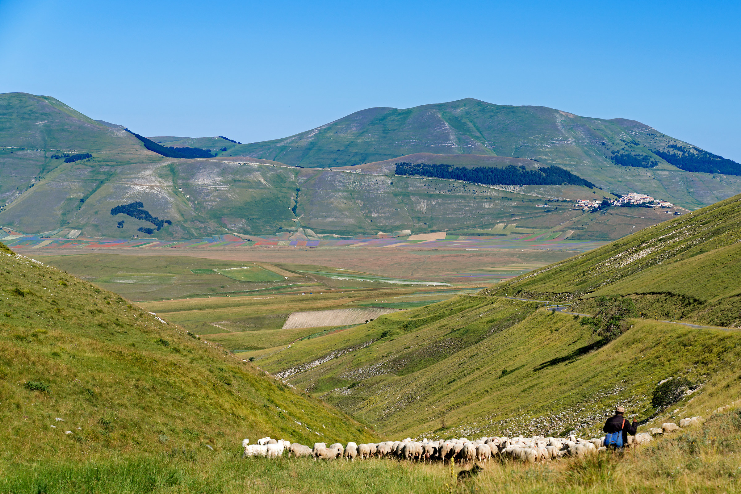 Castelluccio 2018