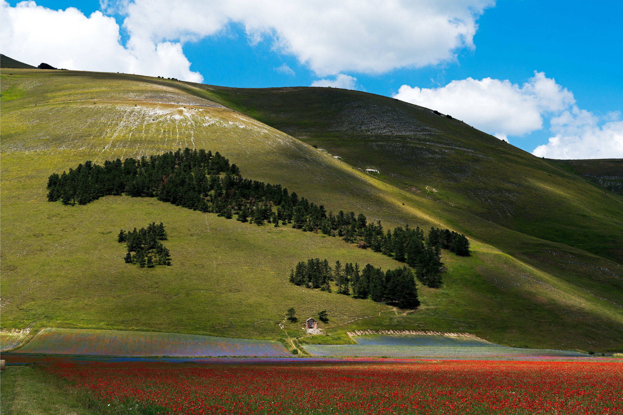 Castelluccio 2018