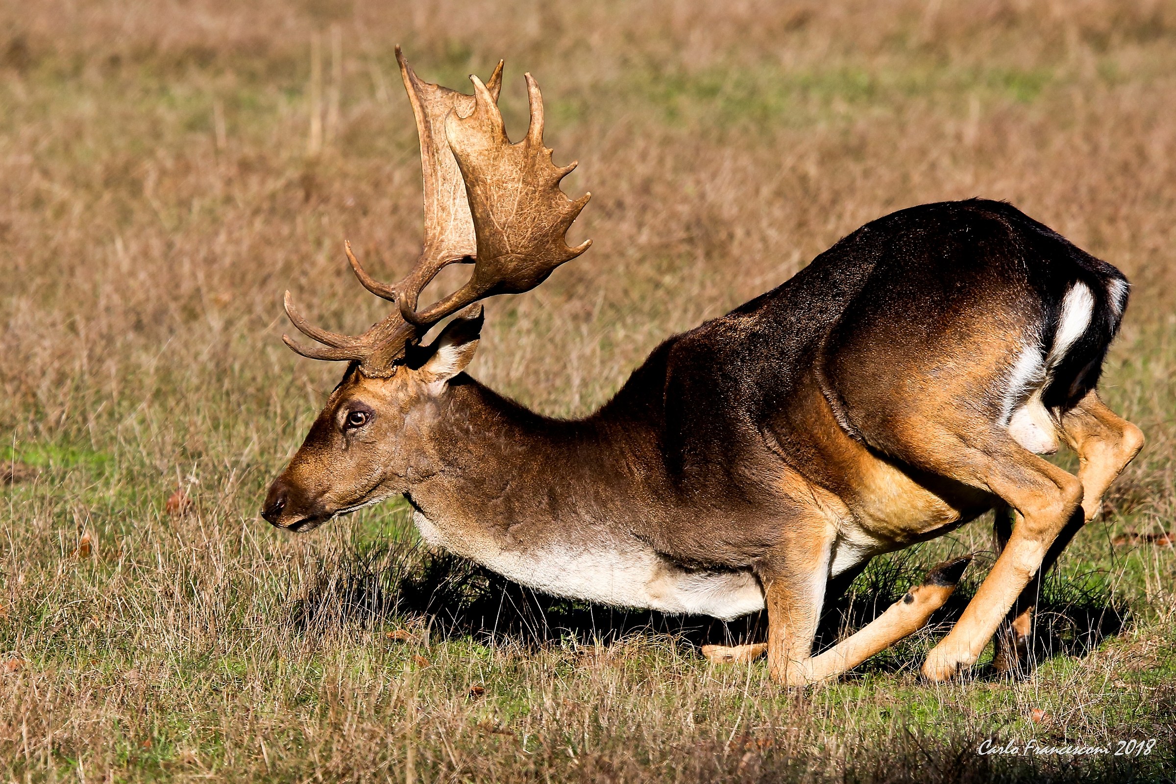 You put me on my knees