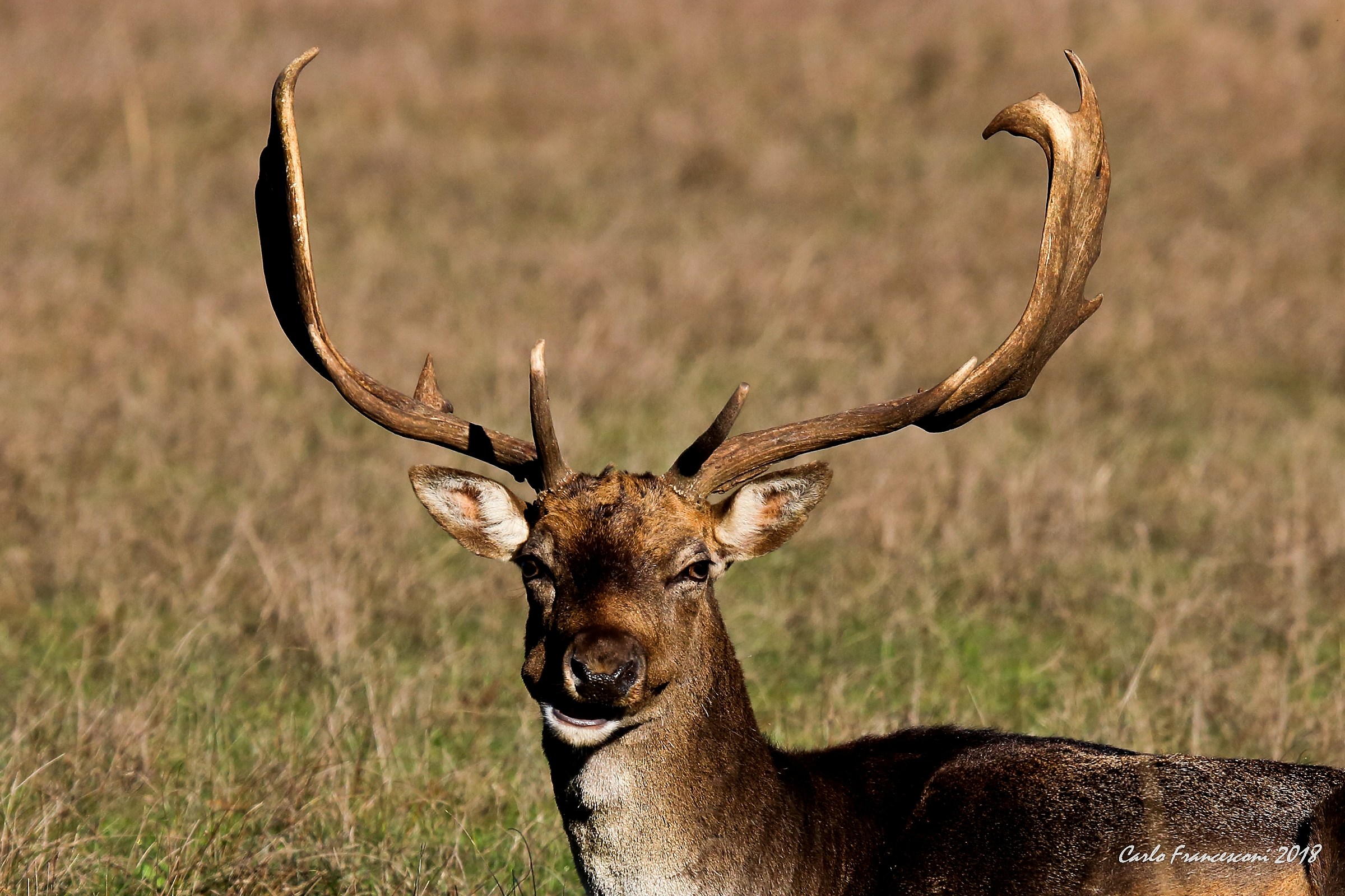 Tell me what you're looking