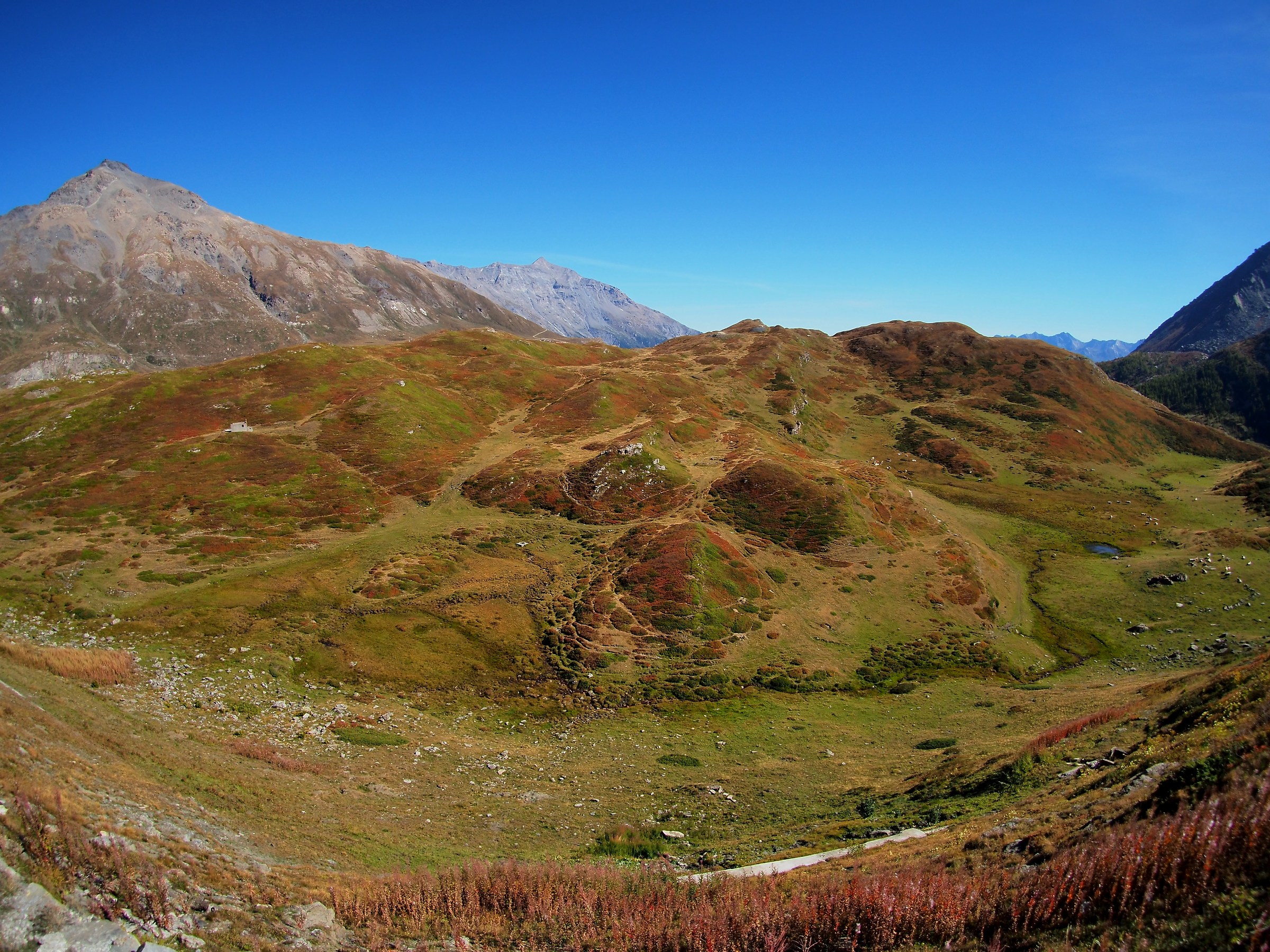 High Altitude Autumn