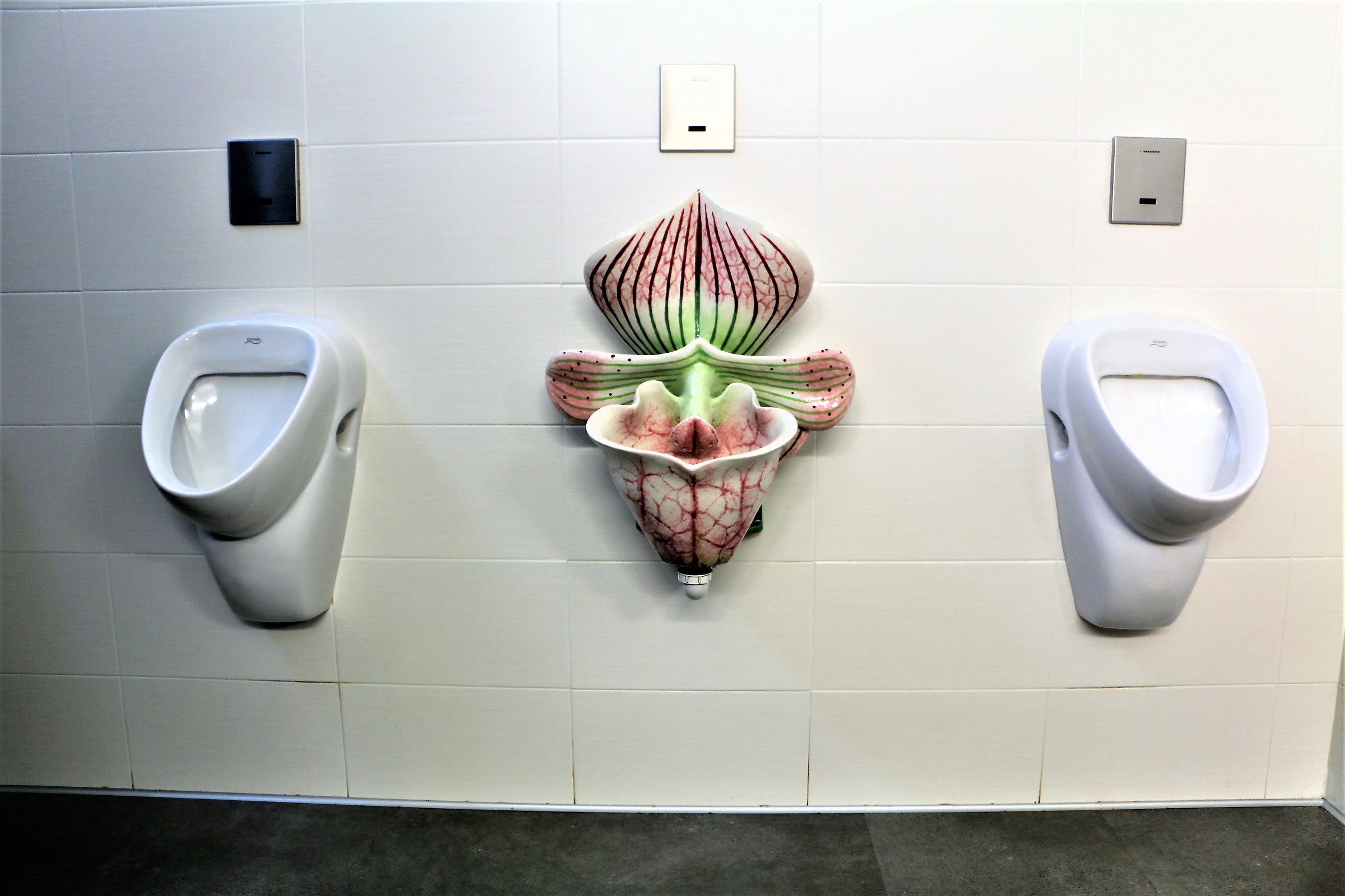 Storie di Cessi - 9 -