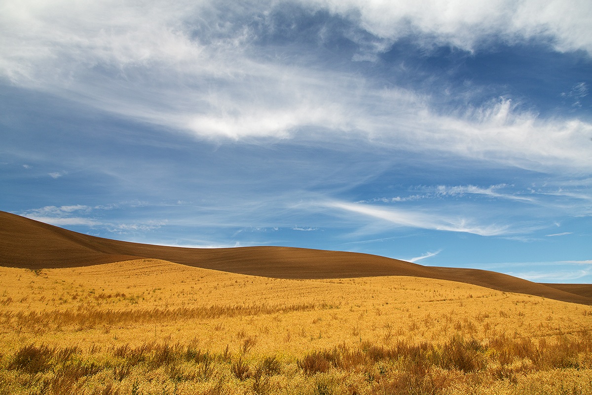 Wave @ Palouse country