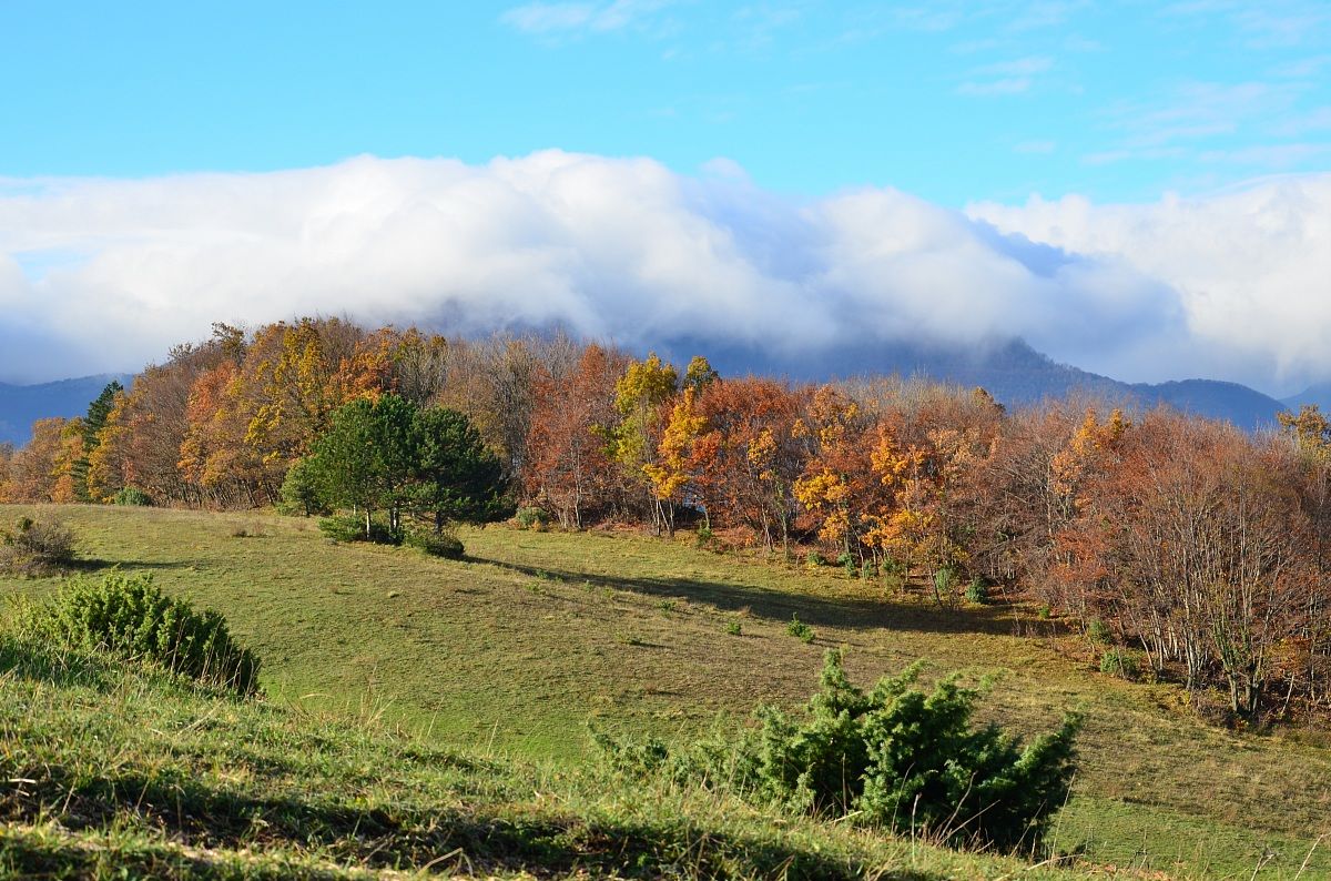 Coldellanoce (Sassoferrato)