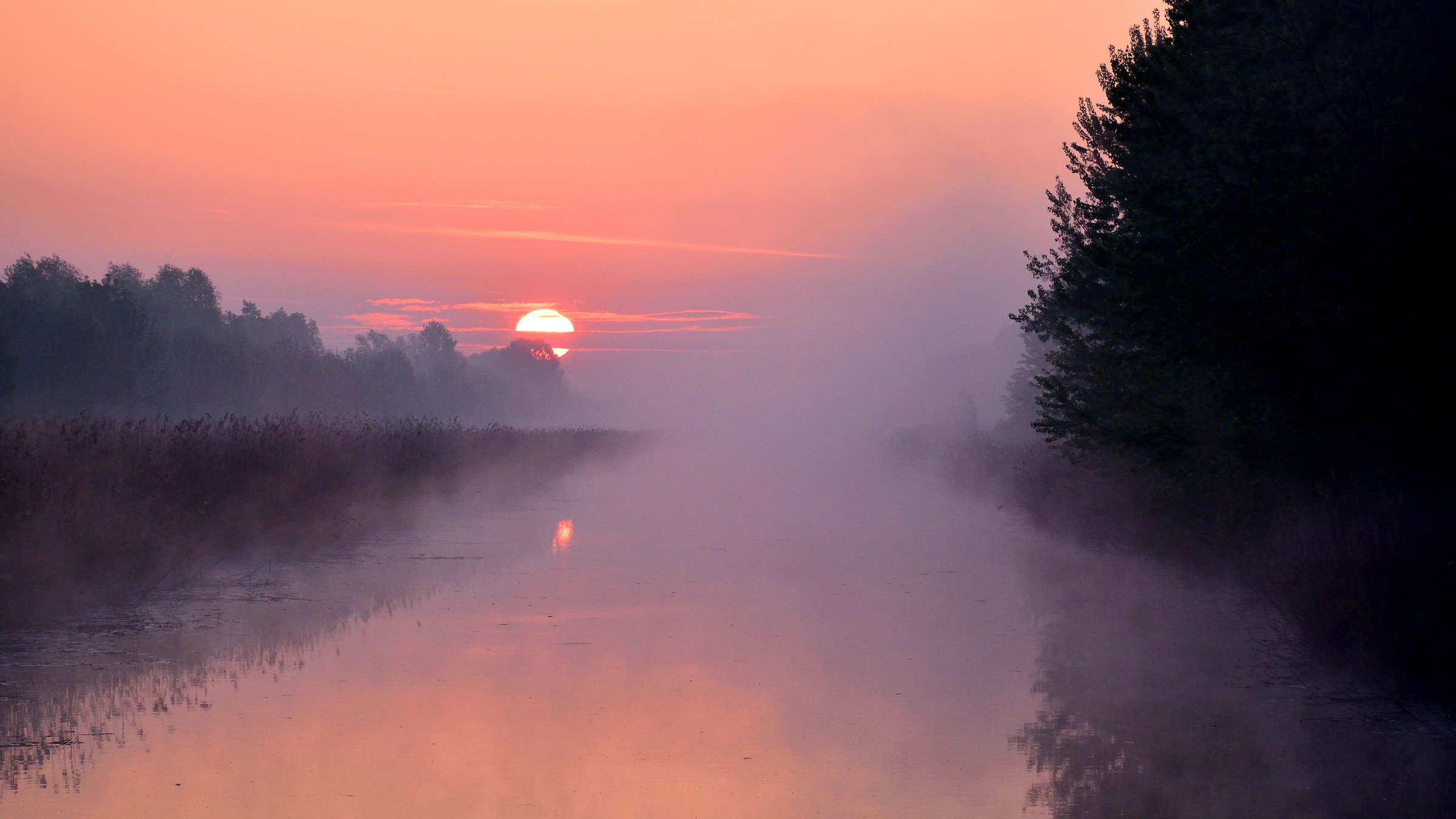 Sunrise-Fog