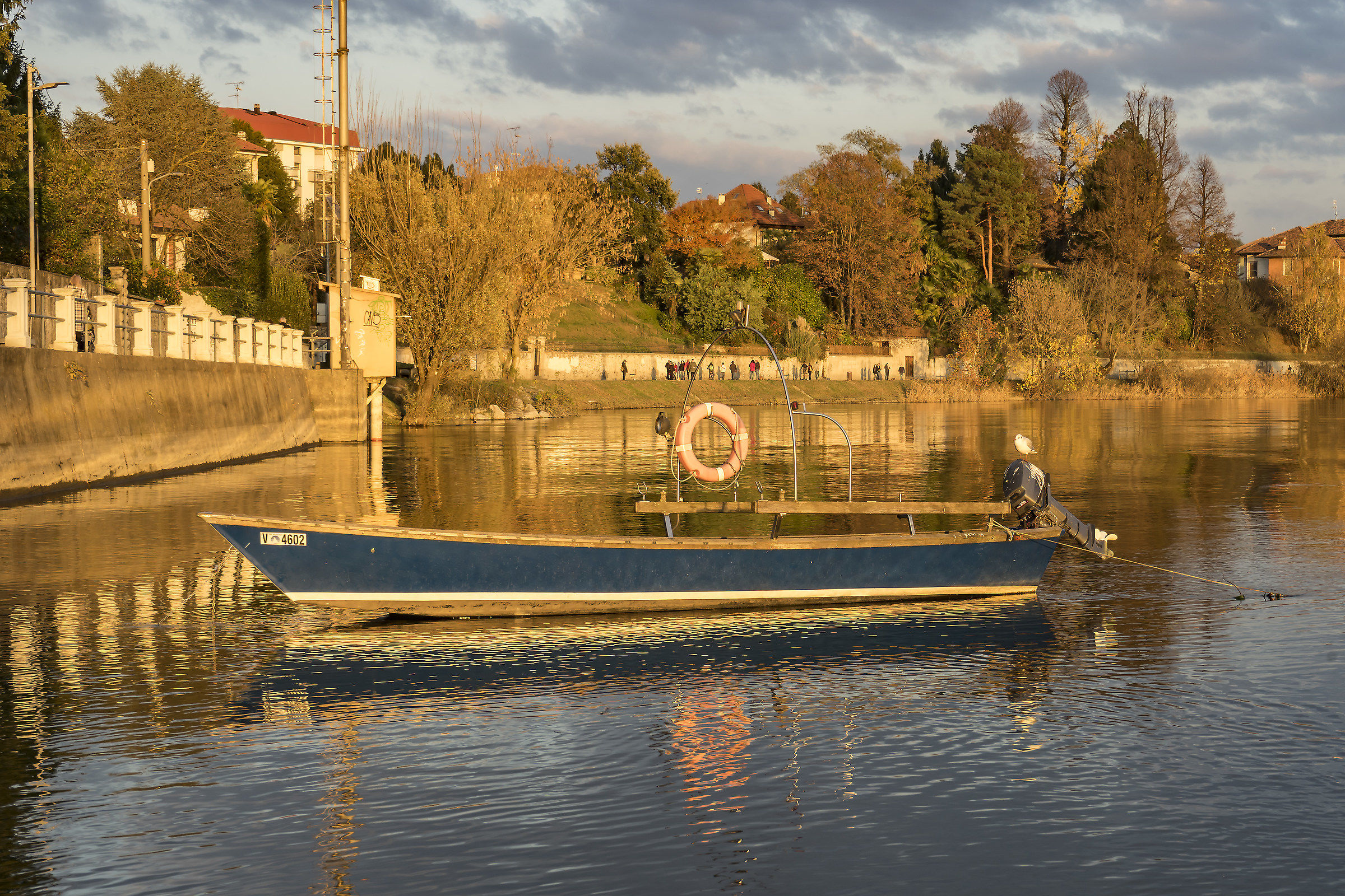 Sabato 17 novembre 2018, 16:21