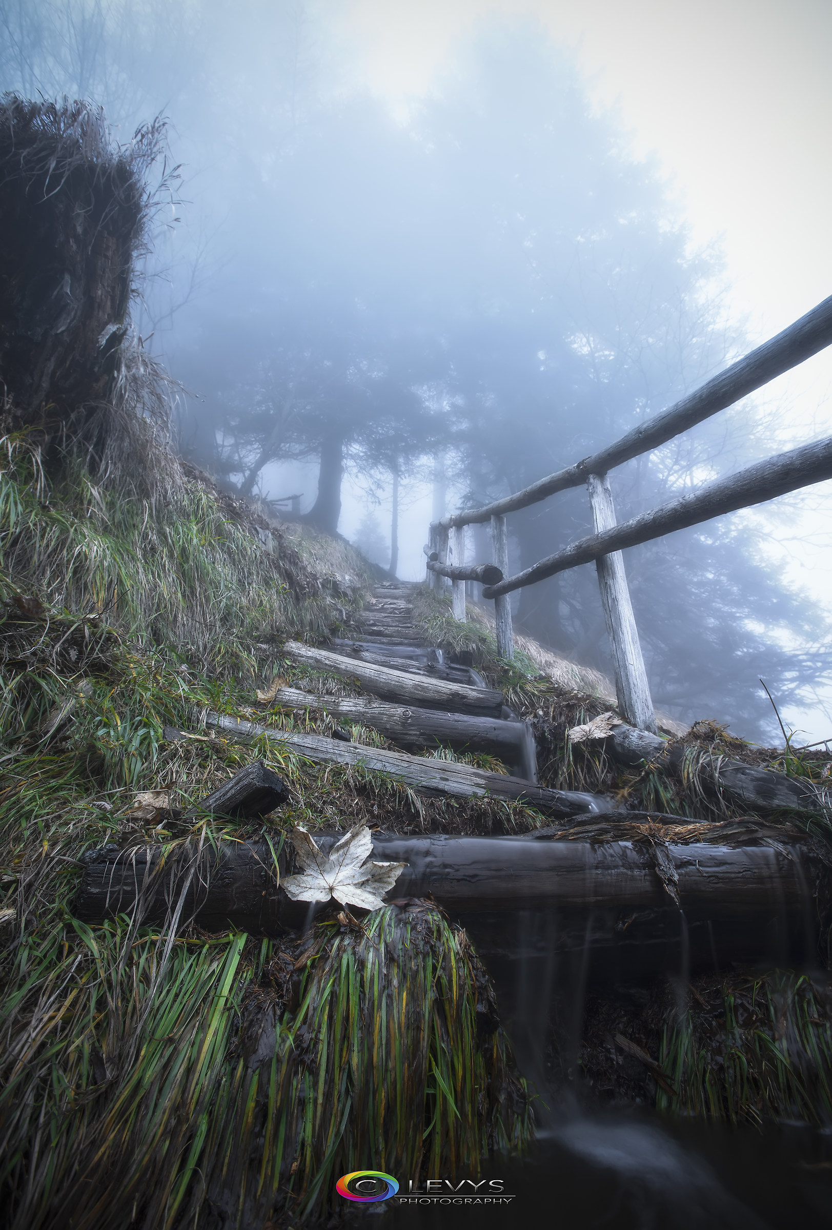 La nebbia, un fenomeno fisico che ha anche il suo fasci